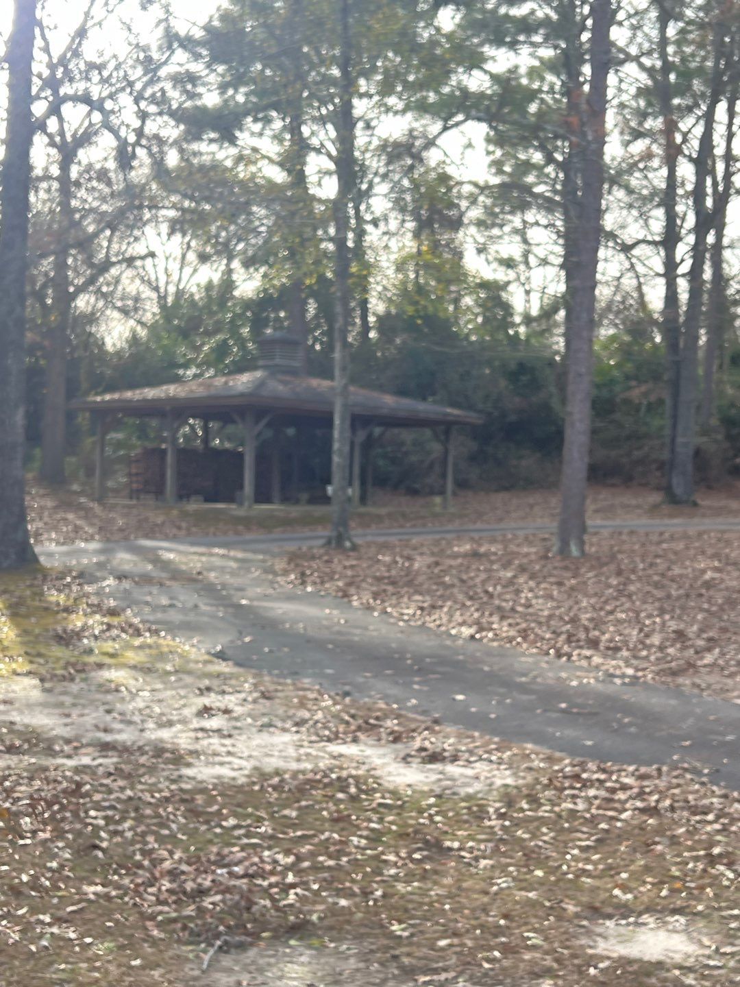 none by Emergency Roofing Solutions