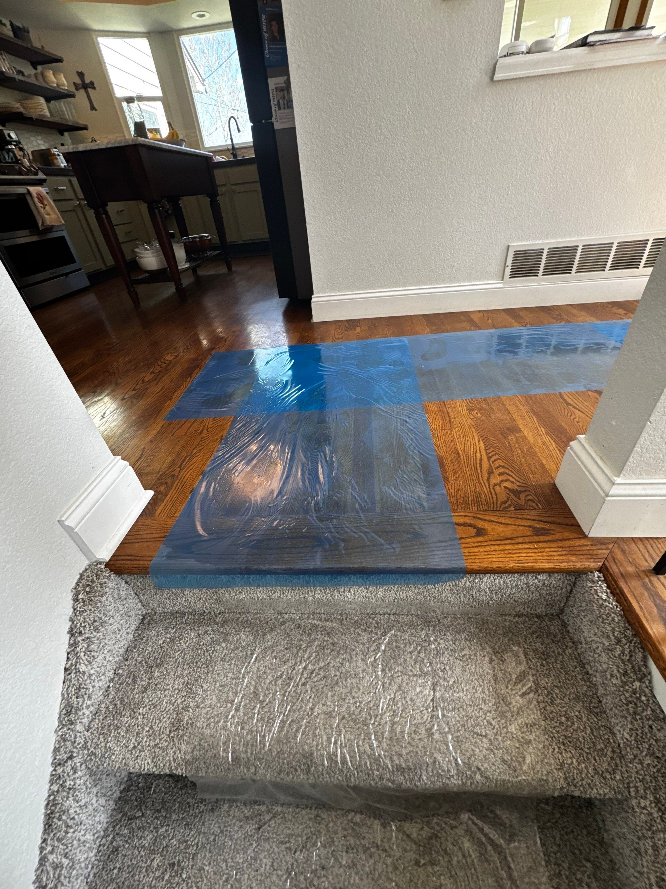 Mold Project in Thornton by Accountable Home Services