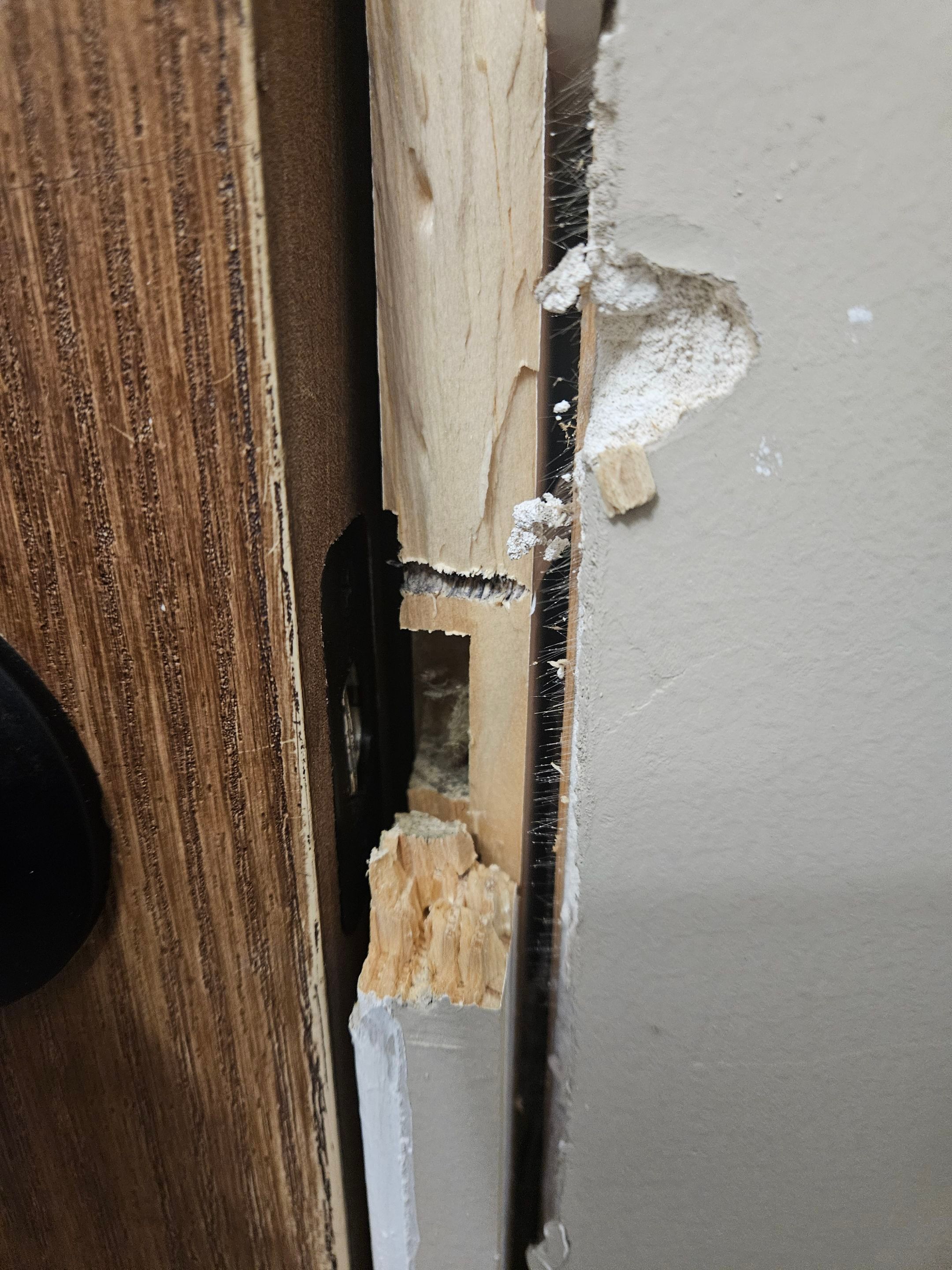 Drywall/door/frame repair and towel hanger installation by Swift Signings and Services LLC