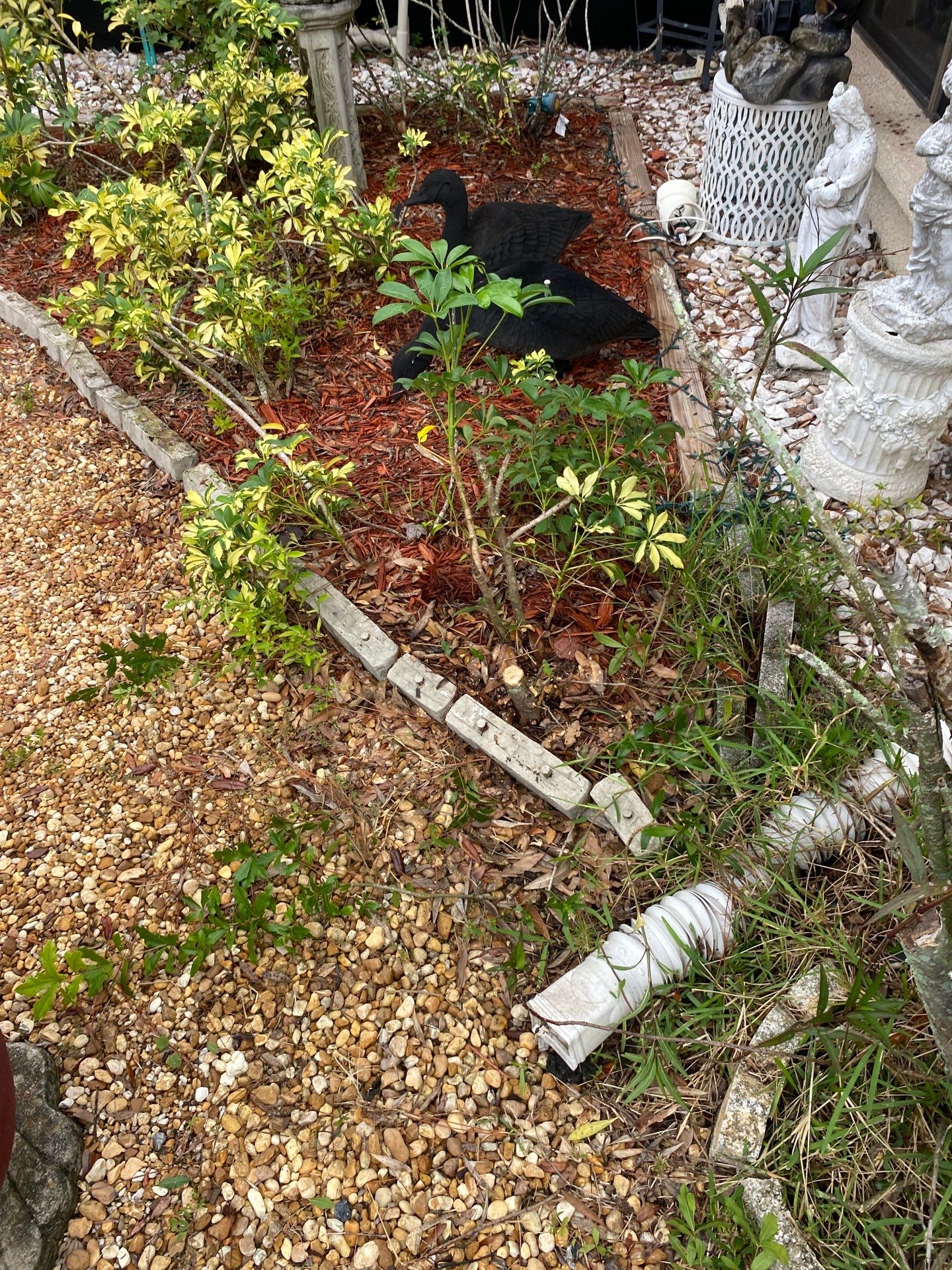 Tree Trimming | Residential by ProGreen Services