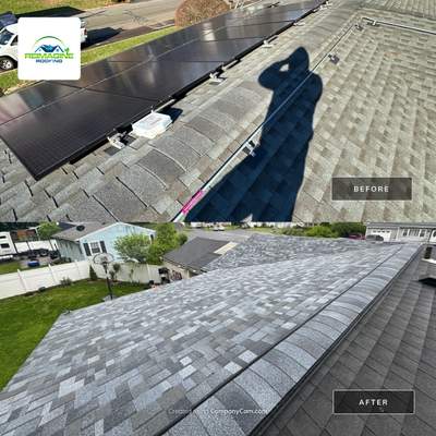 Silver Birch Shingles
