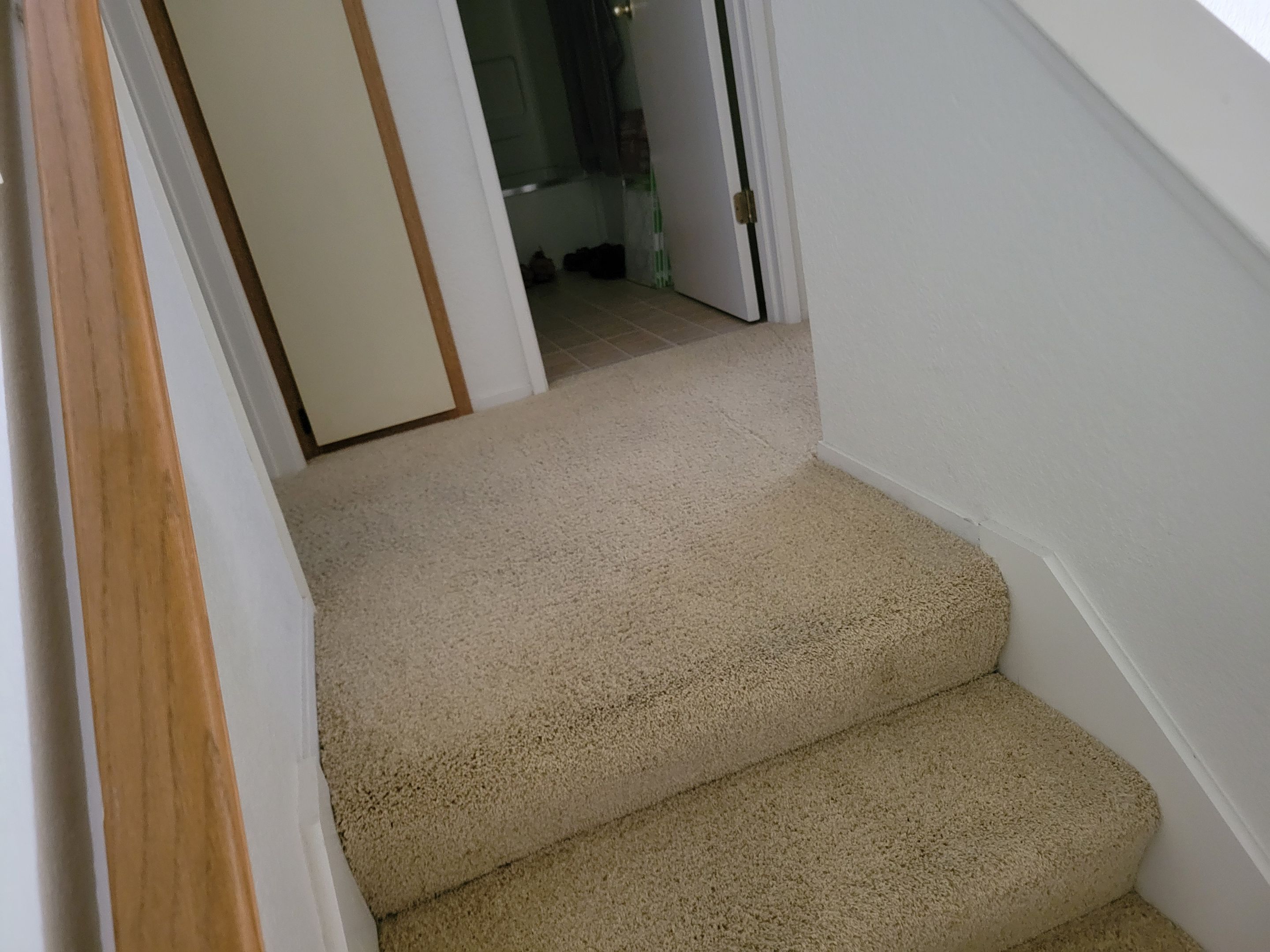 Carpet Re-stretching and Cleaning by Ardent Carpet Restore LLC