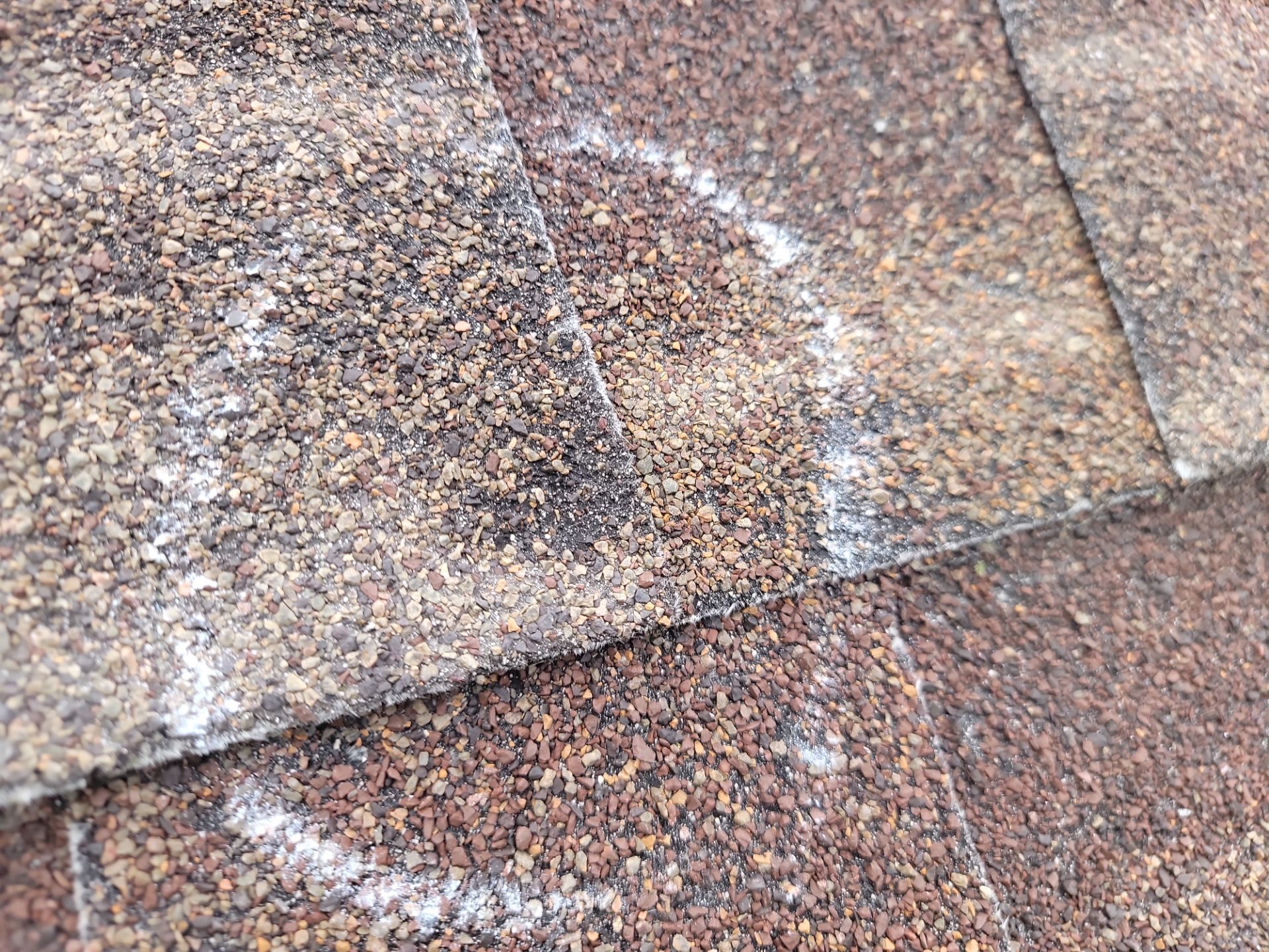 From Undervalued Estimate to a Complete Upgrade  by Action Exteriors Austin