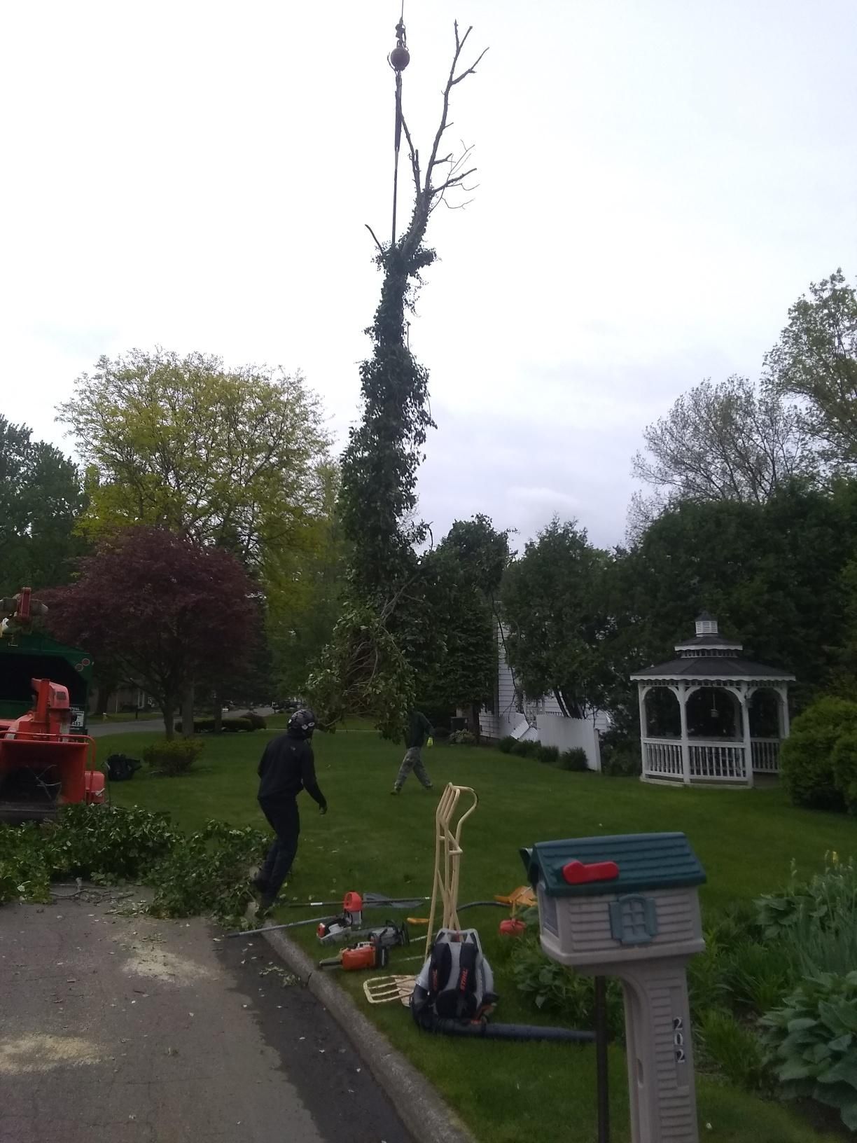 Tree Removal using Tree Removal by Mike Jones & Sons Tree Service LLC 