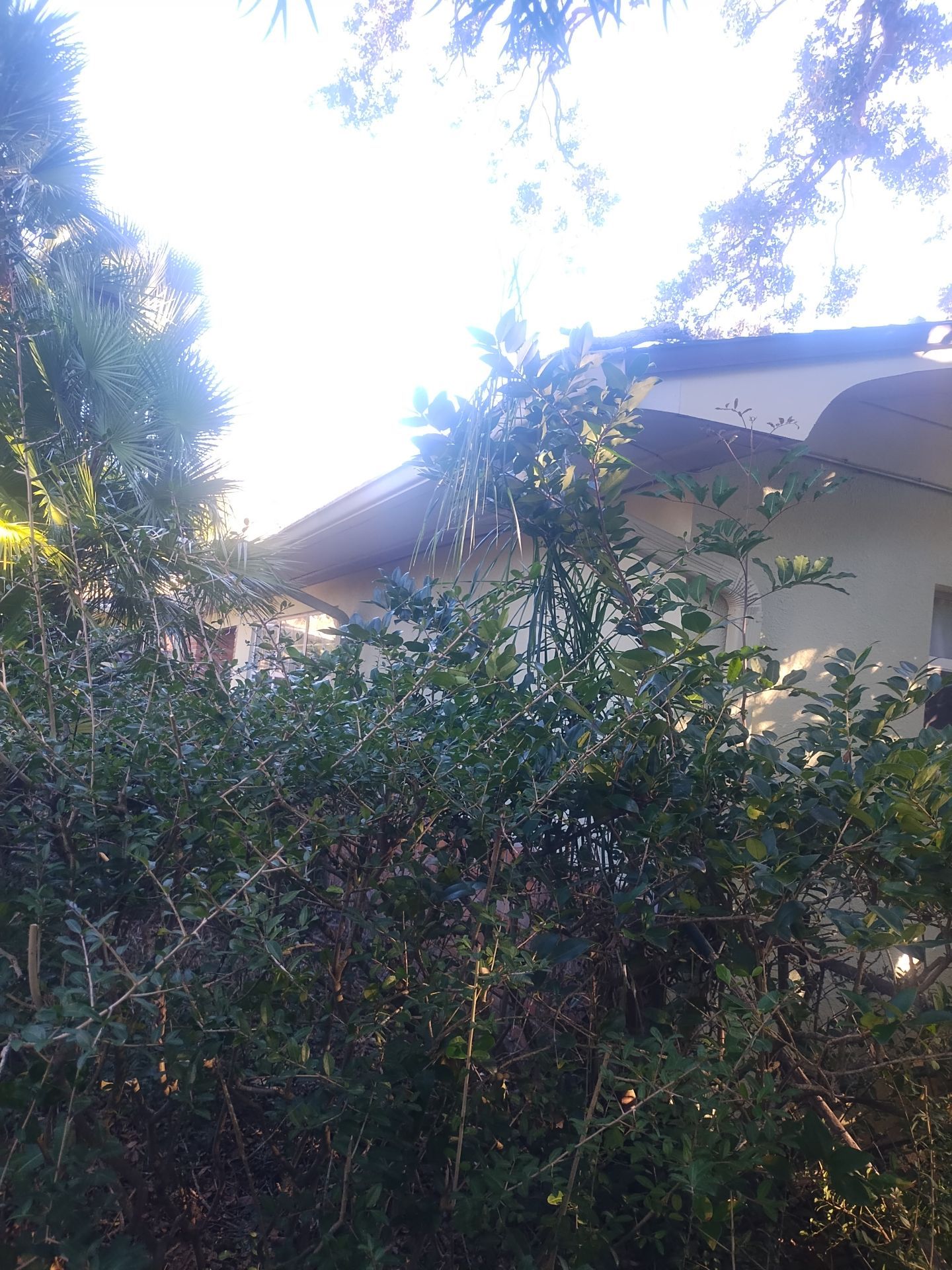 Project in Seminole 33776 by Mitchell Roofing Company LLC