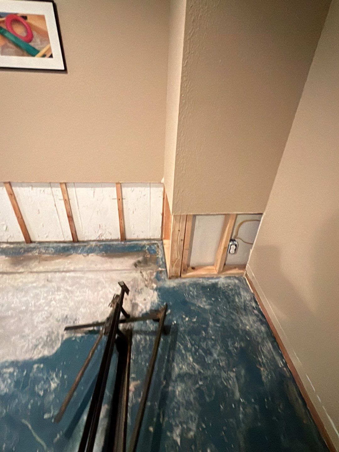 Mold Damage by Accountable Home Services