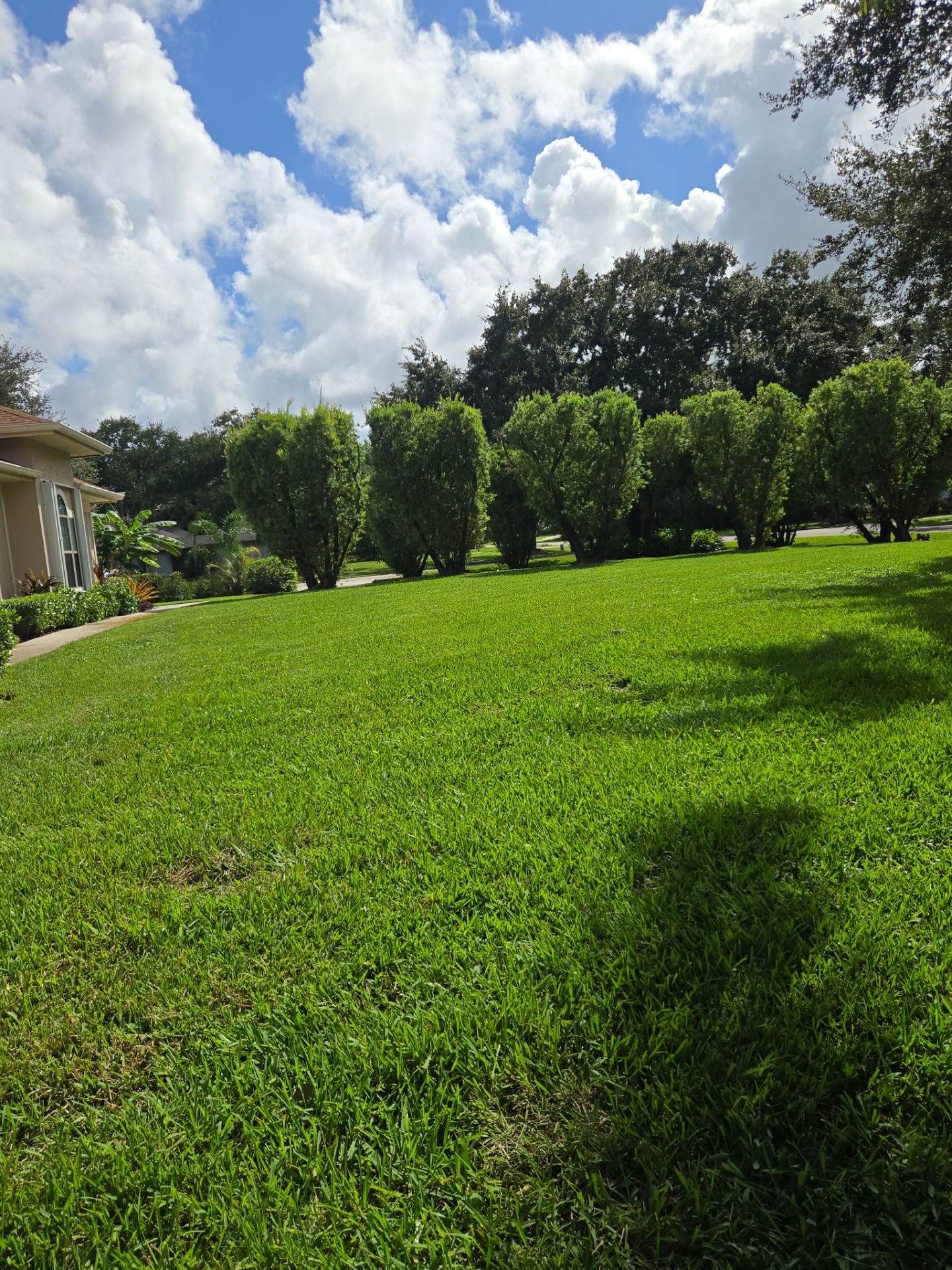 🌴✨ “Crane Creek Snip, Tip & Tune-Up” ✨🌴 by Alpha Zeta Enterprises Inc