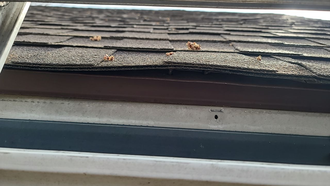 ATLAS PINNACLE COLOR: WEATHERED WOOD DRIP EDGE: MUSKET BROWN by Eagle Eye Roofing