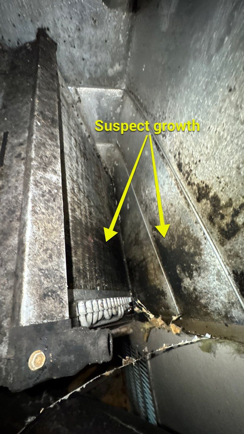Extremely Dirty Air Duct Cleaning in Fruitland Park by Hygienic Air, Inc