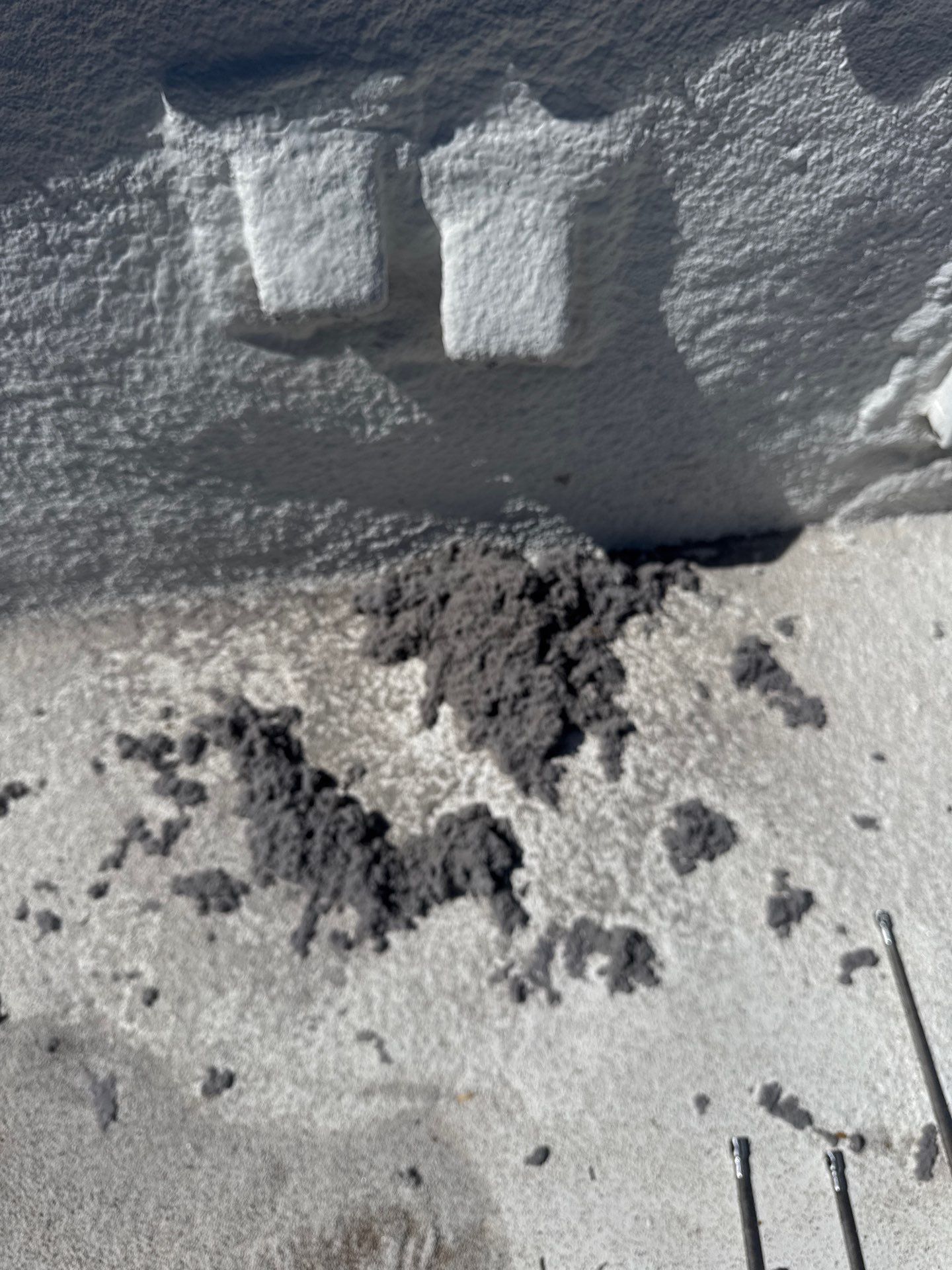 Lucky Cricket Chimney sweep featured photo.