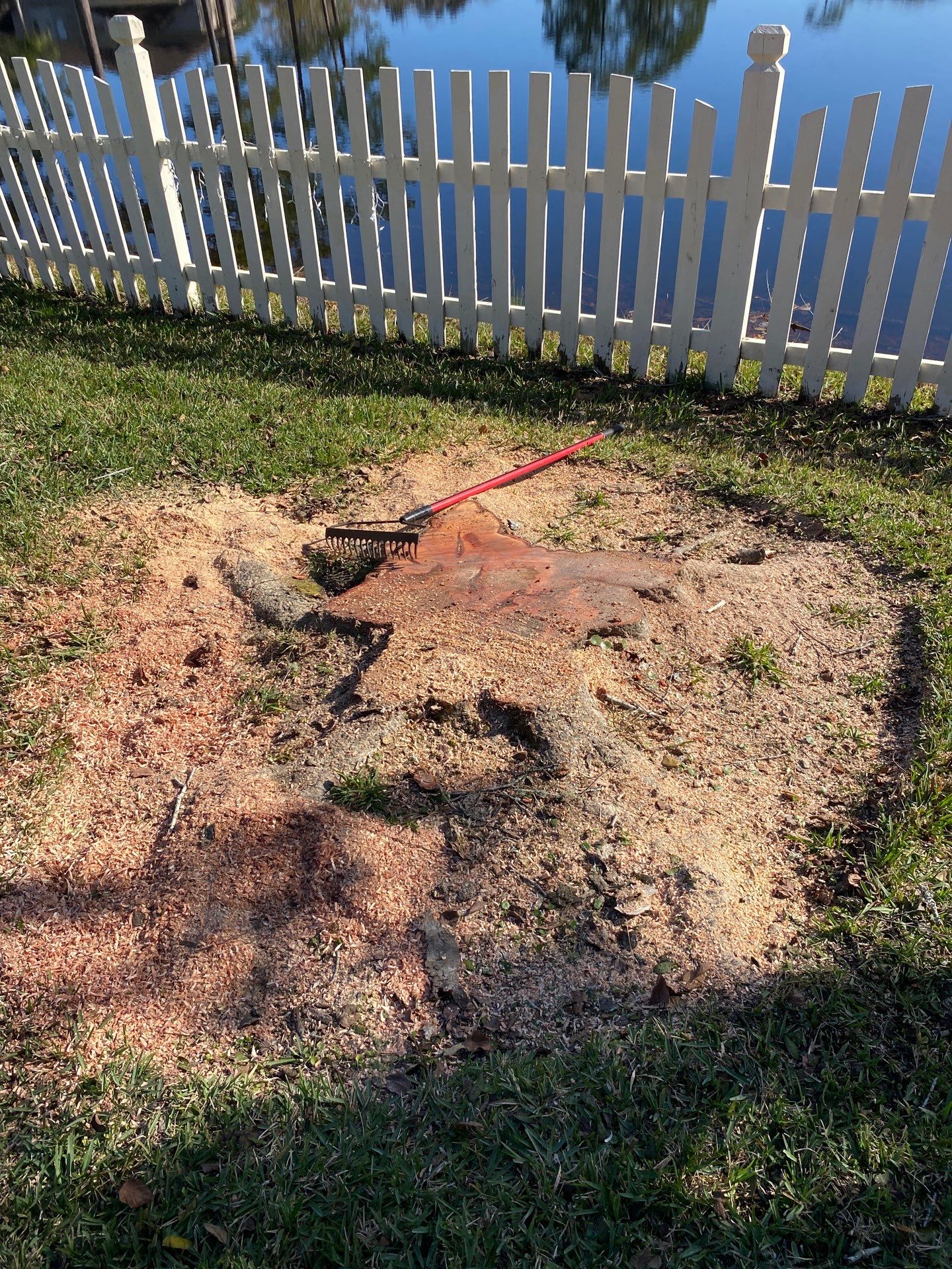 Deerwood Resident | Tree Removal & Palm Trimming by ProGreen Services