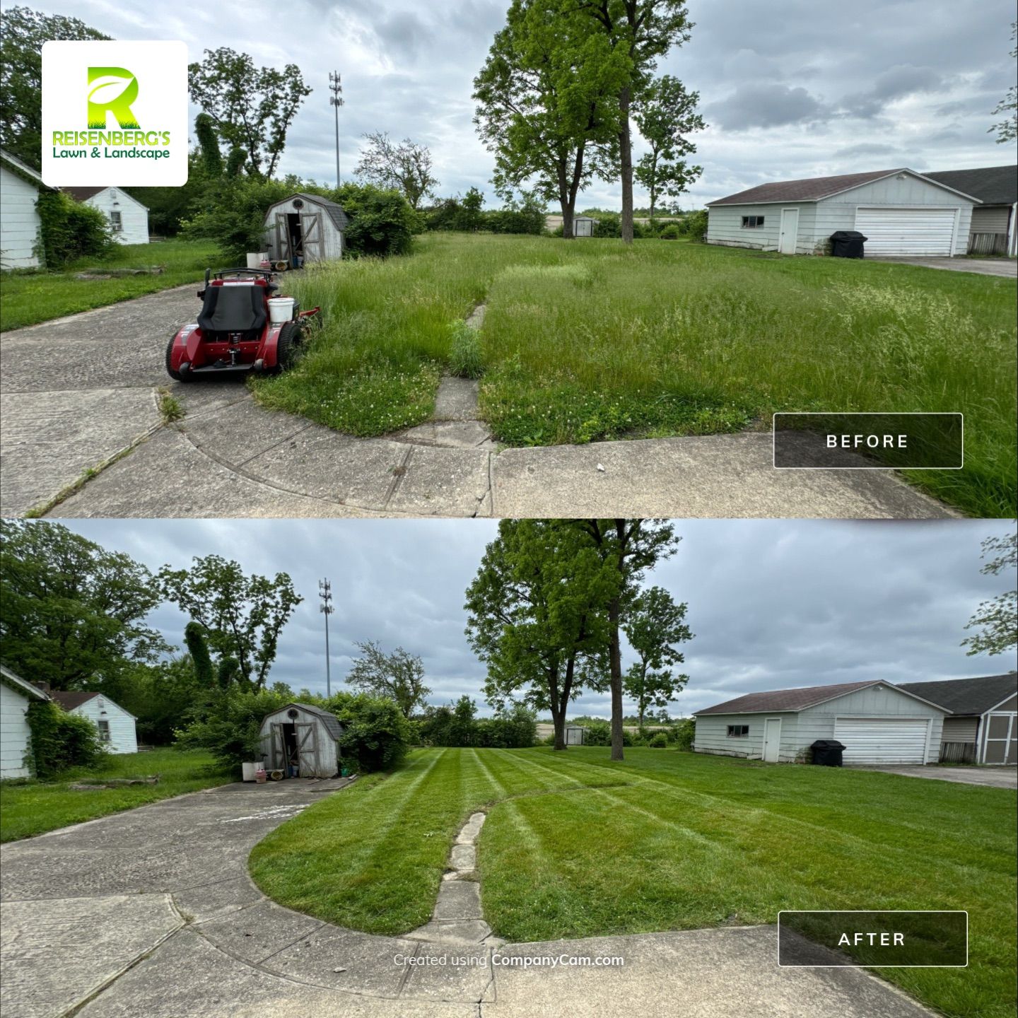 Reclaiming An Overgrown Yard by Reisenberg’s Lawn & Landscape, LLC