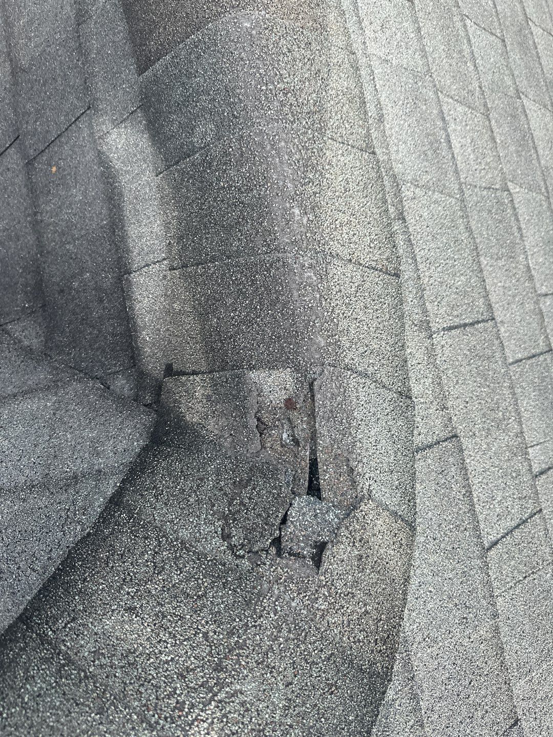 Residential Roofing Repair using Owen's Corning Duration (Lifetime) Shingles by Roof Repair Company