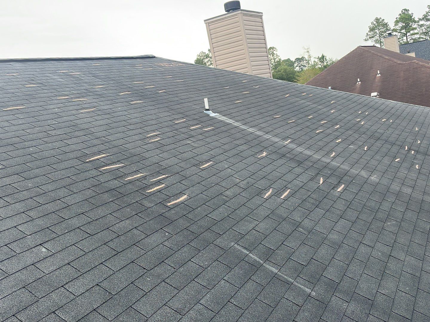 Residential Roofing Installation using Atlas Pinnacle Pristine  by Talya Roofing