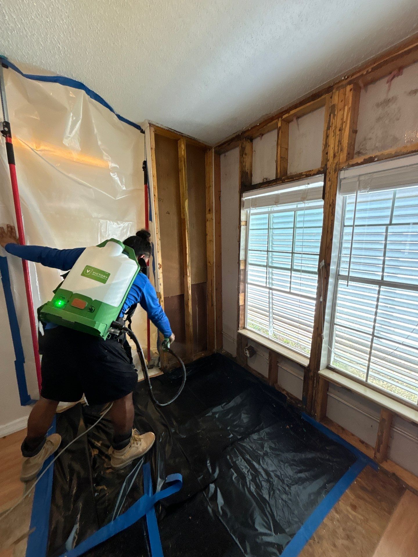 Mold Remediation Palmetto by Ampm Restoration Services 