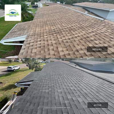 Estate Gray Shingles