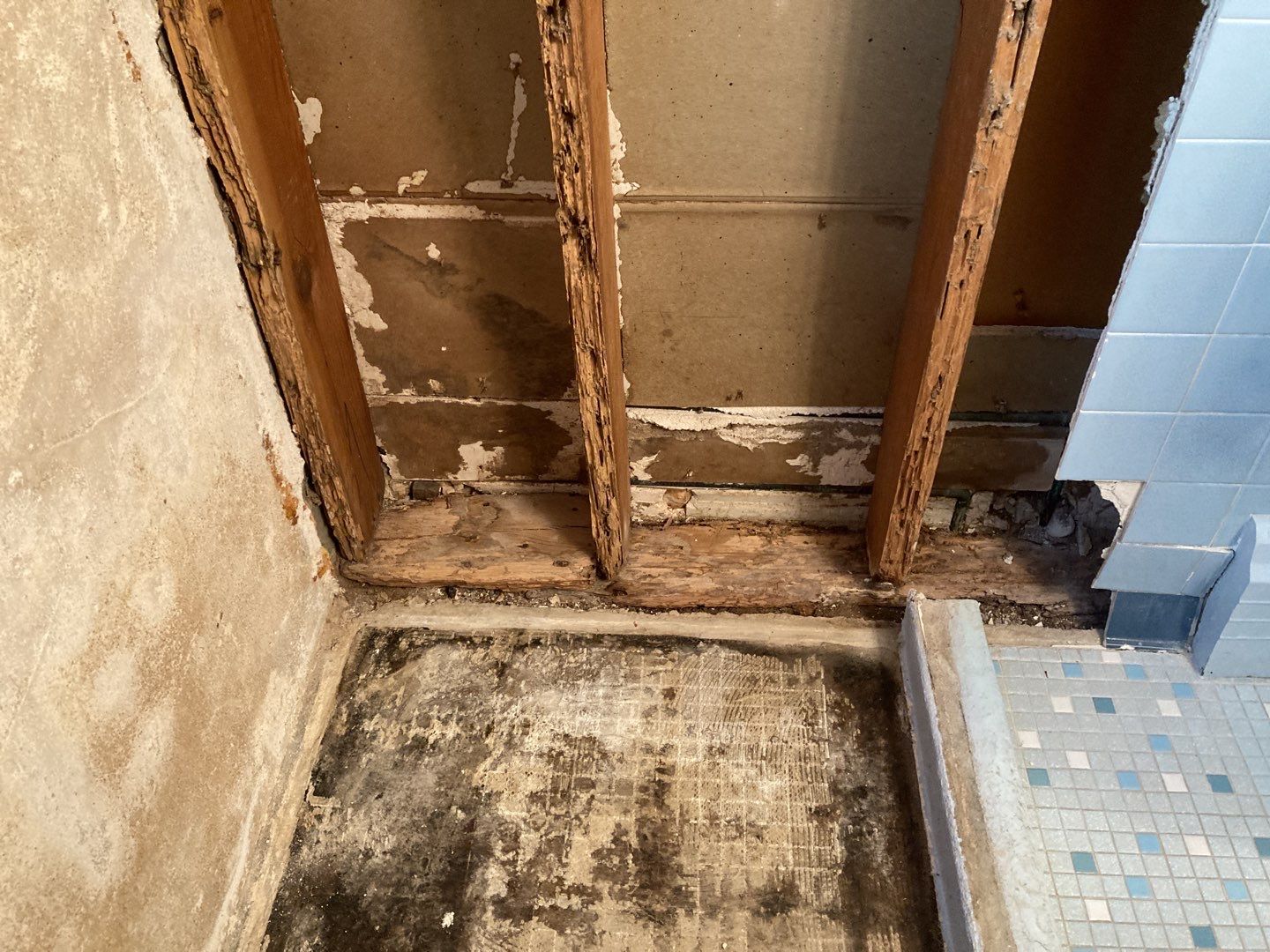 Water Damage Repair by Accountable Home Services