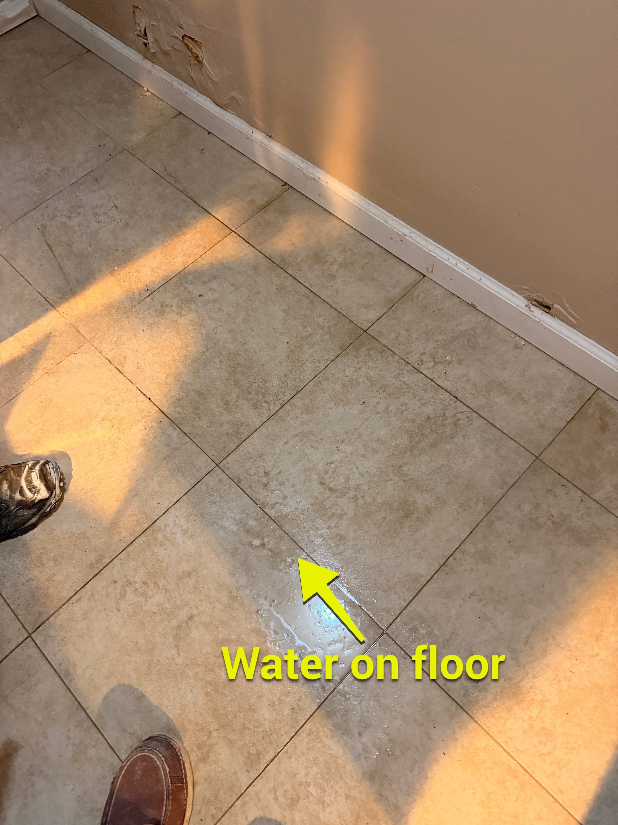 Water Damage by Newhouse Restoration