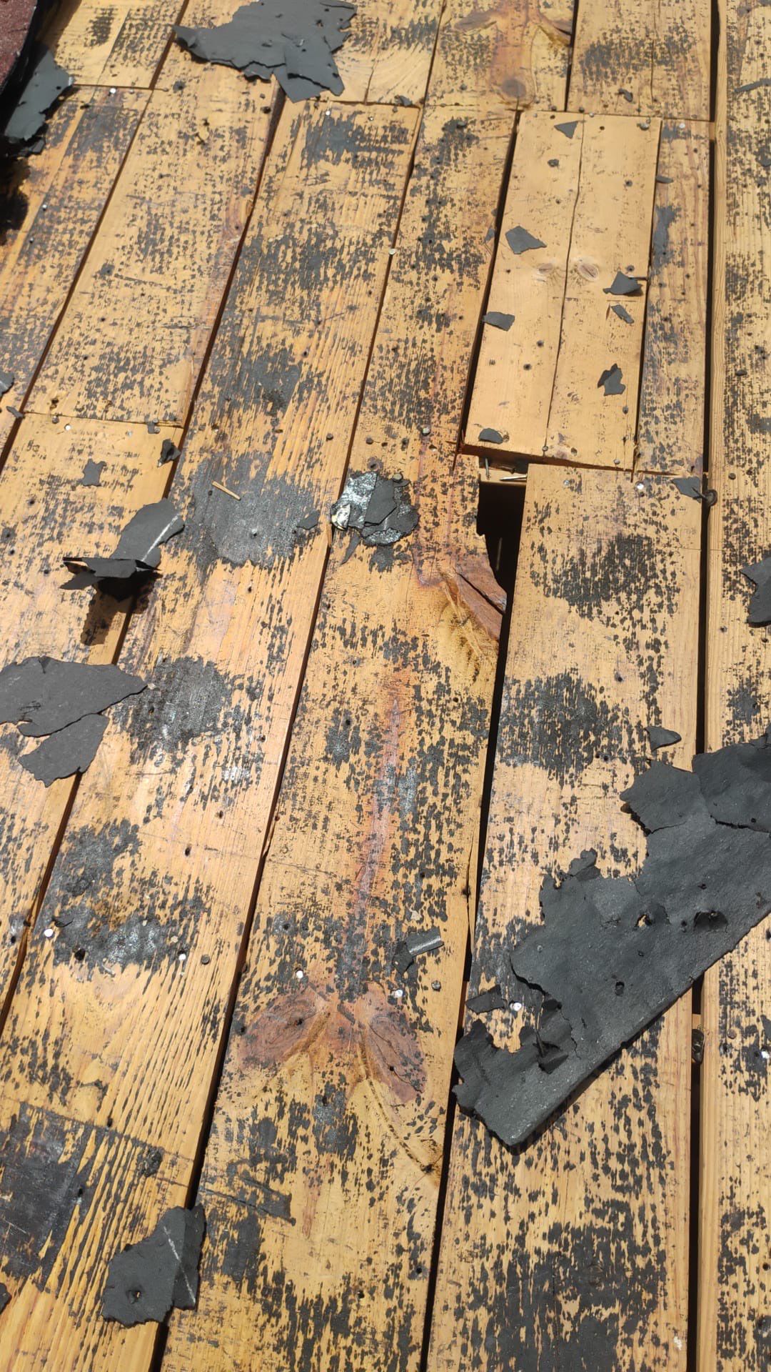 Project in Seminole 33772 by Mitchell Roofing Company LLC 