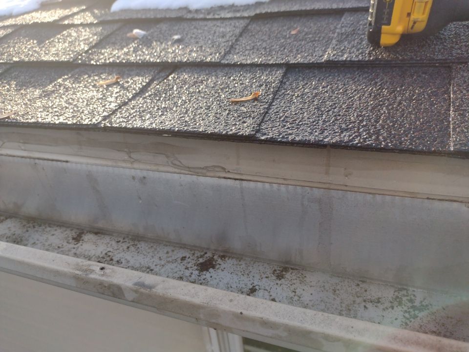 Genie Frank by Silver Leaf Contracting 