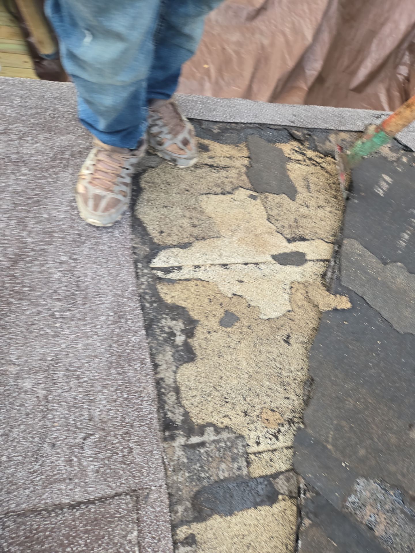 Project in St. Petersburg 33709 by Mitchell Roofing Company LLC 