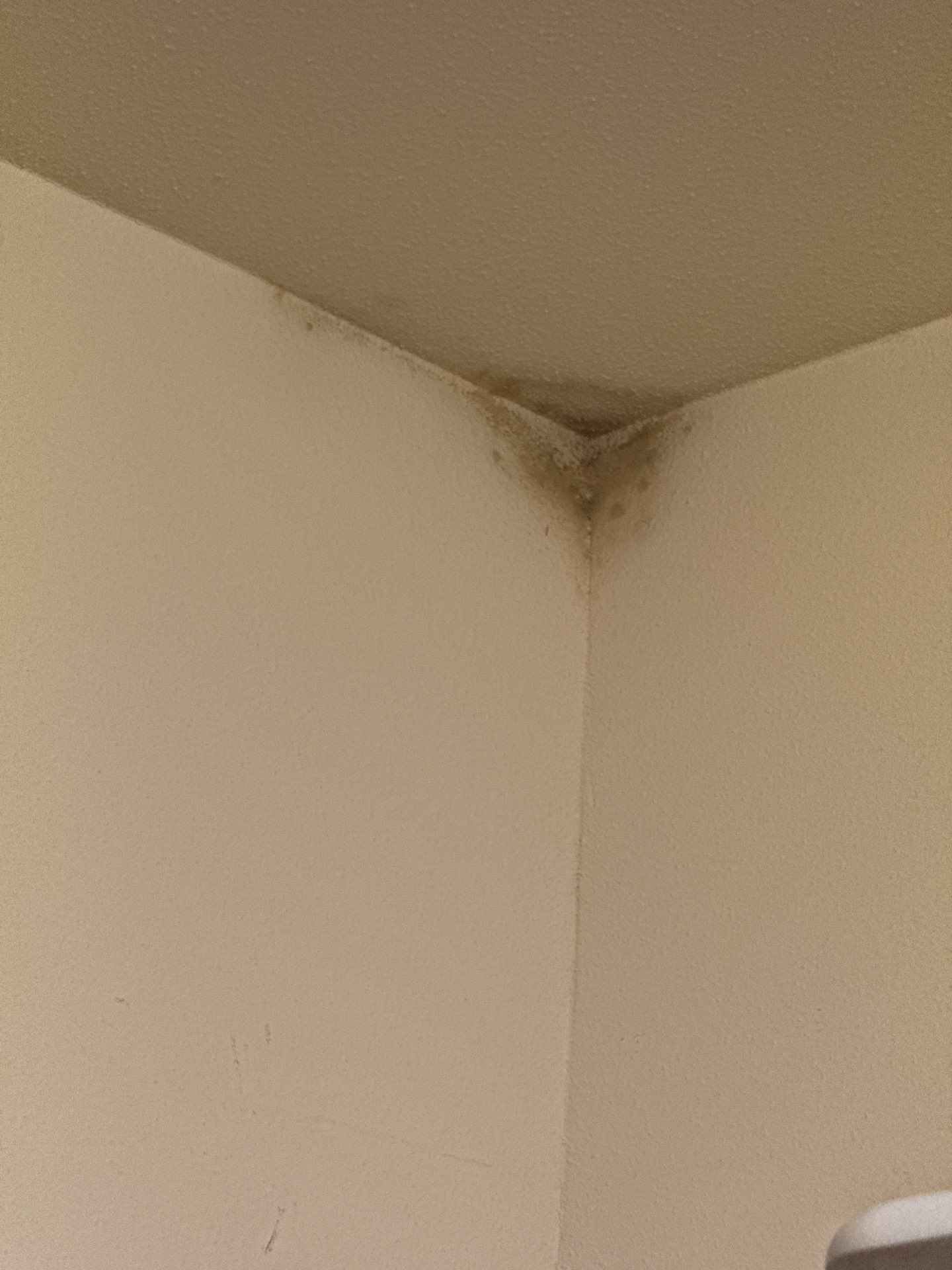Mold Remediation by Dry Source Property Restoration