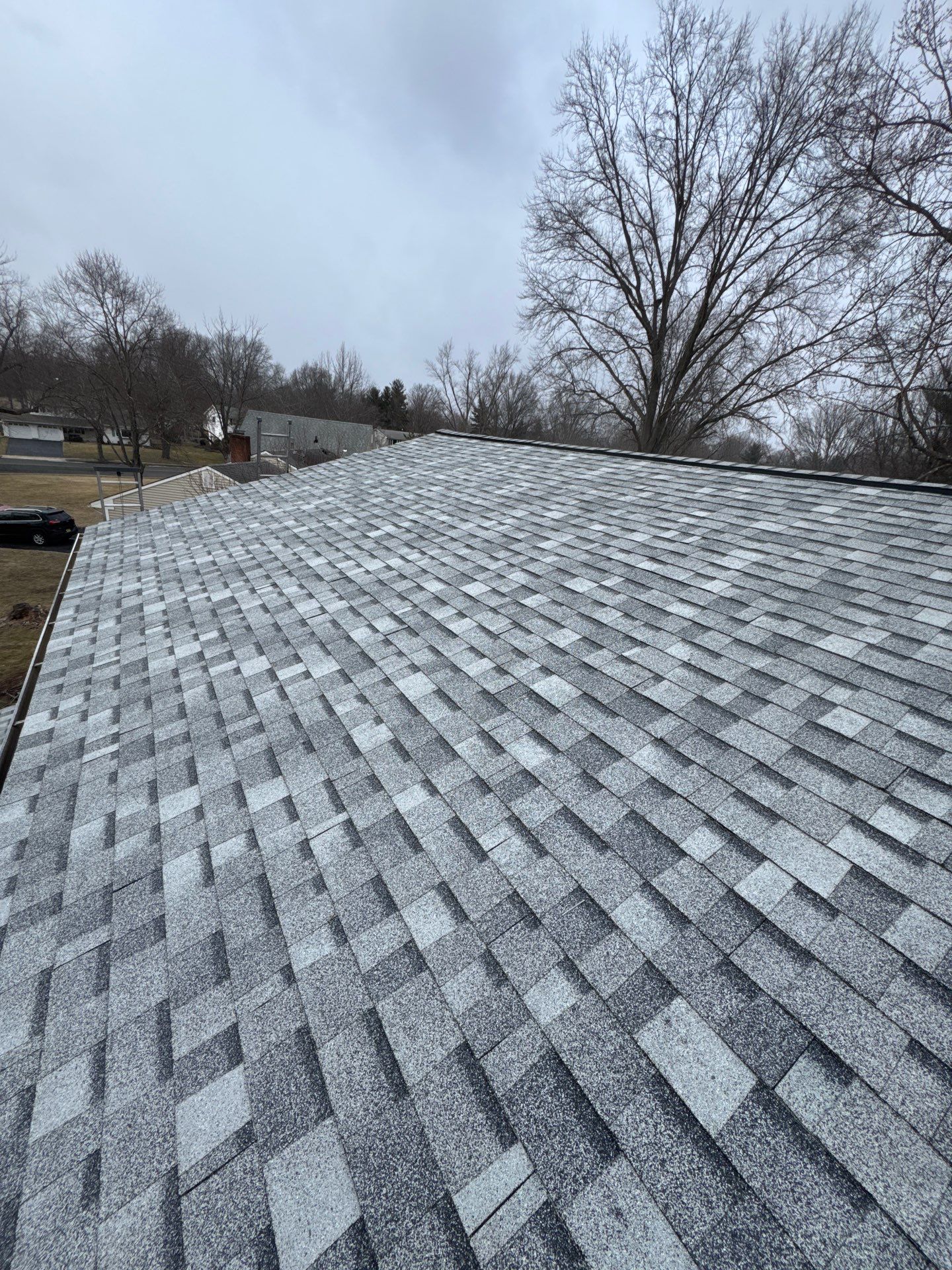 Silver Birch Shingles by Reimagine Roofing