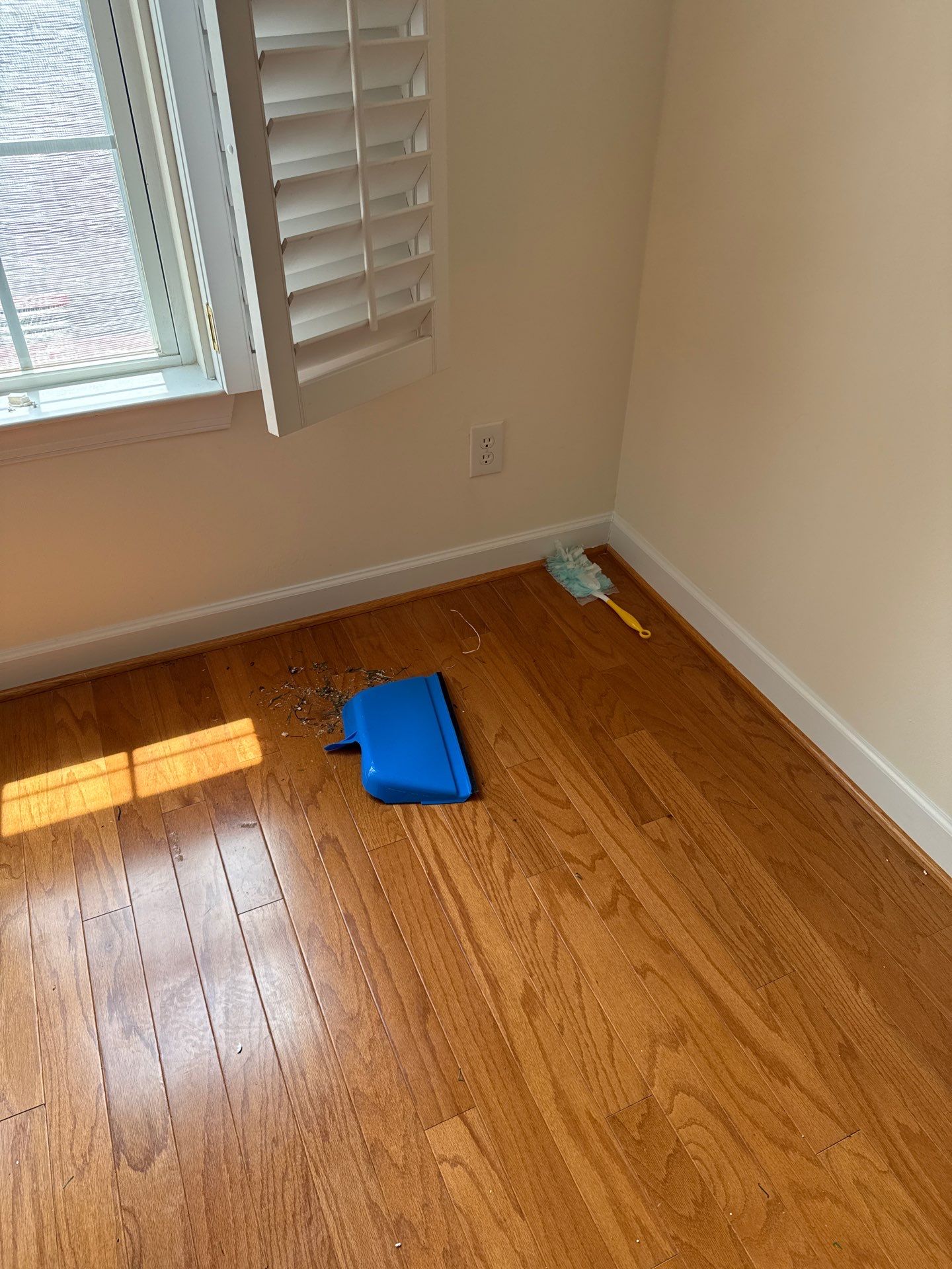 Project in Charlotte by Badger Hauling