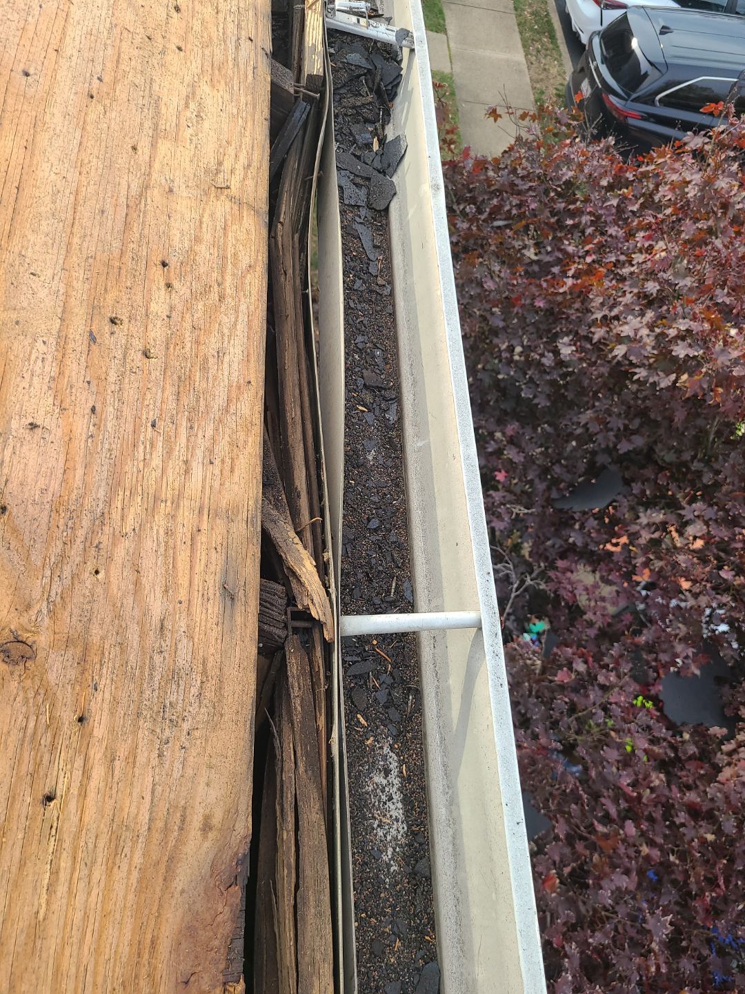 Springfield: Residential Roof Replacement with CertainTeed Landmark Pro in Max Def Burnt Sienna by RM Banning, Inc.