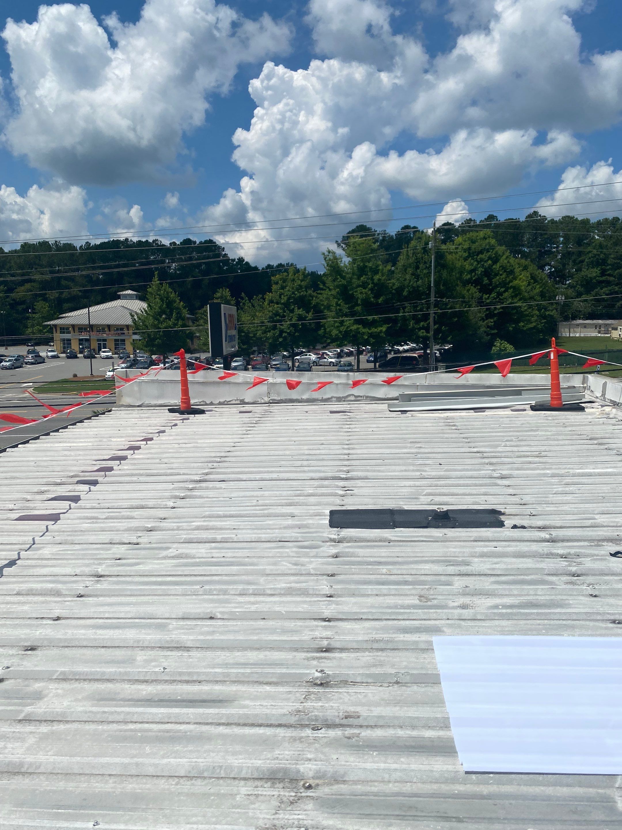 Metal Coating and Skylight Protection by Georgia Roof Advisors