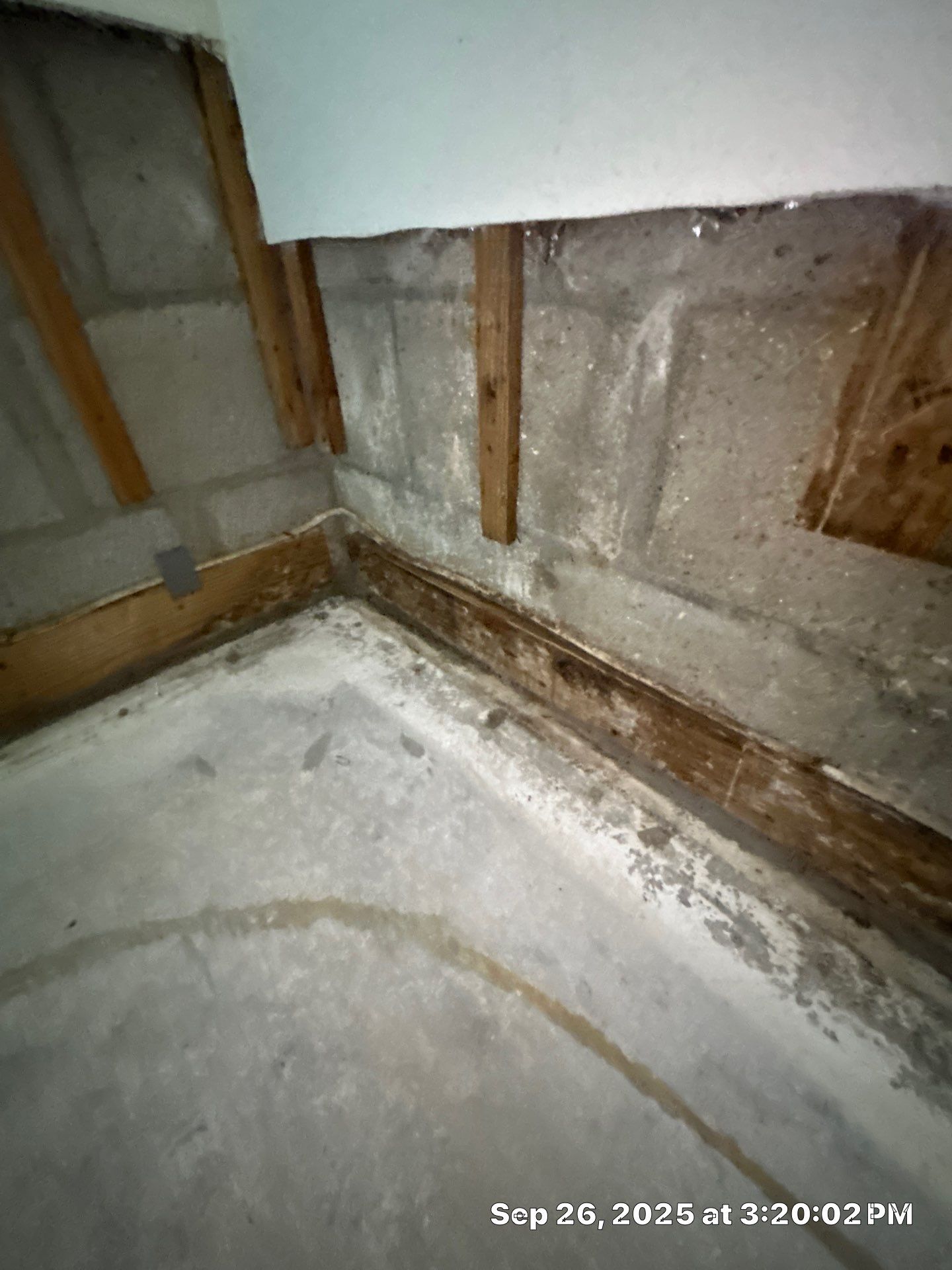 Water Damage Inspection In Bradenton Florida by Ampm Restoration Services
