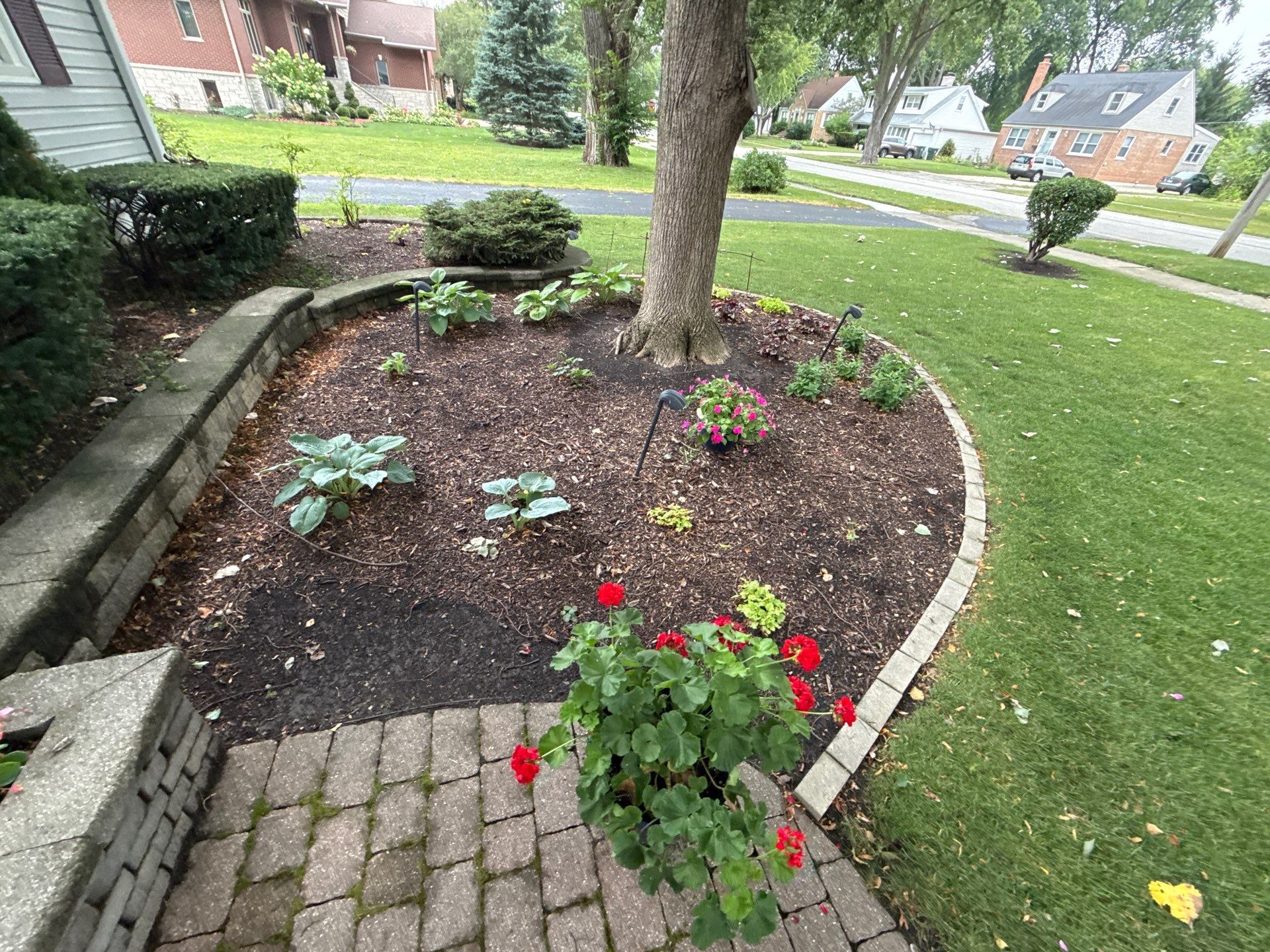 Karen M. - Palatine, IL by A&N