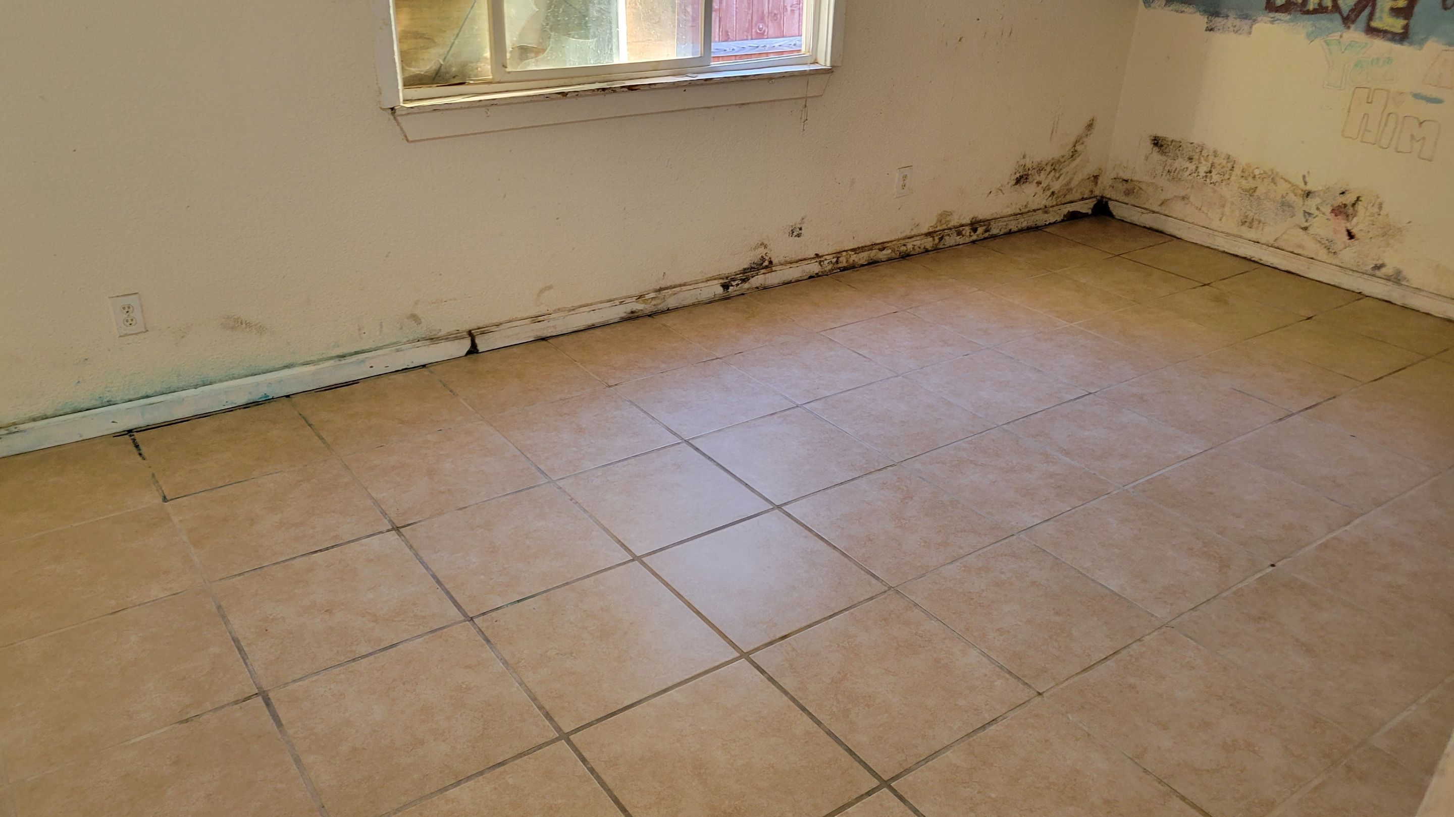 Extreme, Tile Cleaning by Ardent Carpet Restore LLC