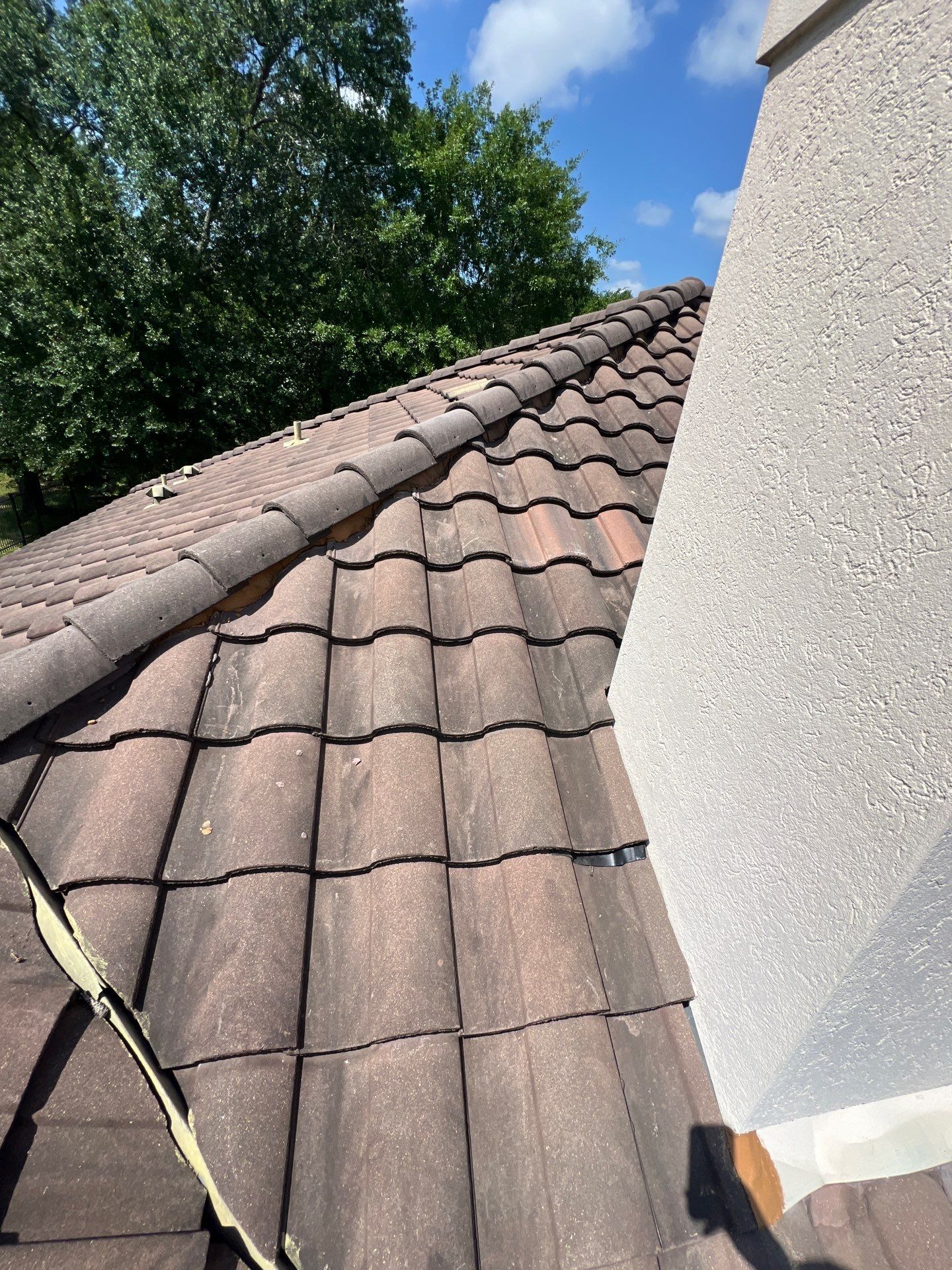 Roof Repair Spring by Roof Repair Company