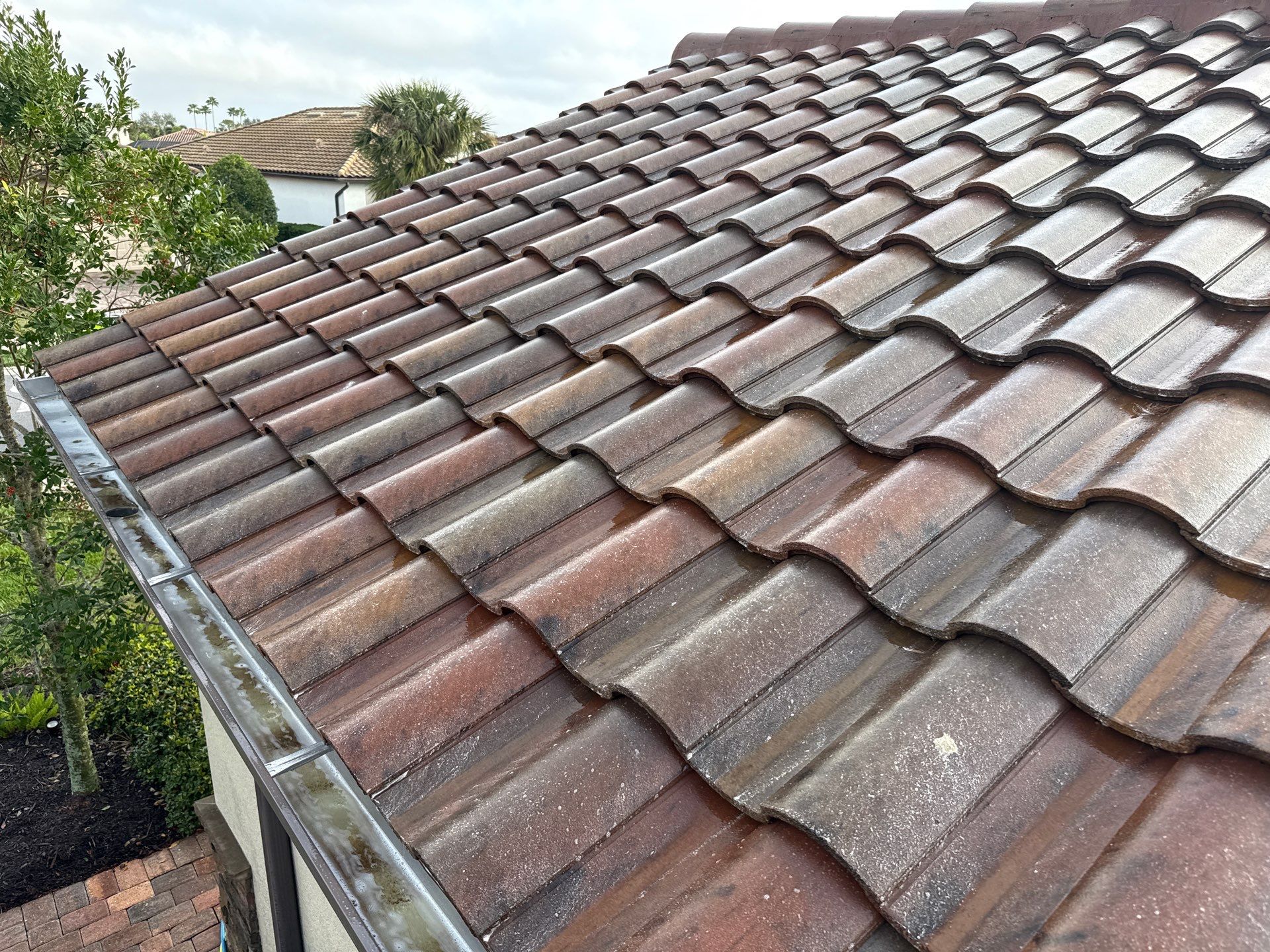 Paver Pool Deck, Driveway & Concrete Tile Roof Cleaning in River Strand, Bradenton, FL | Sunshine AquaWash by Sunshine AquaWash