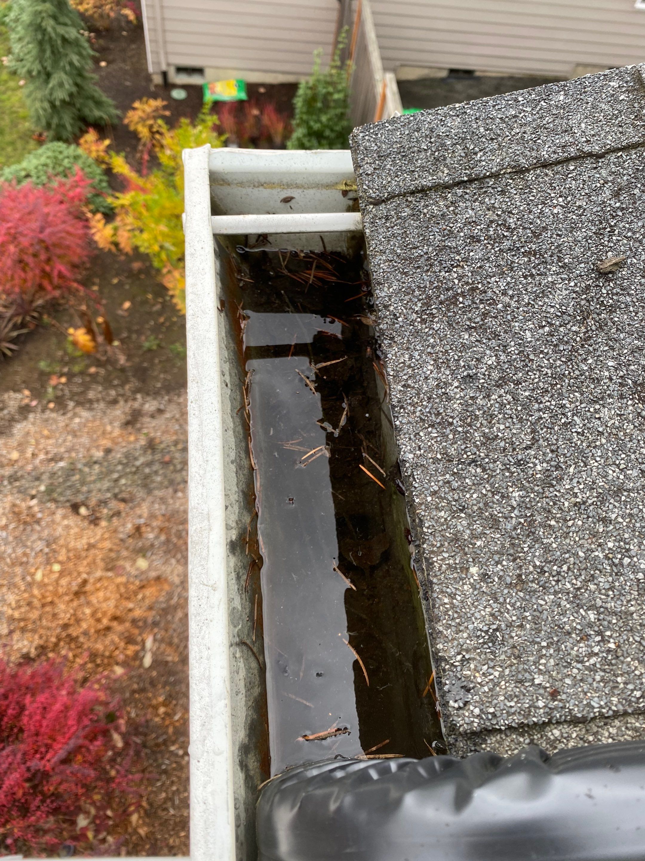 Gutter Cleaning in Tigard by Prodigy Roof Solutions