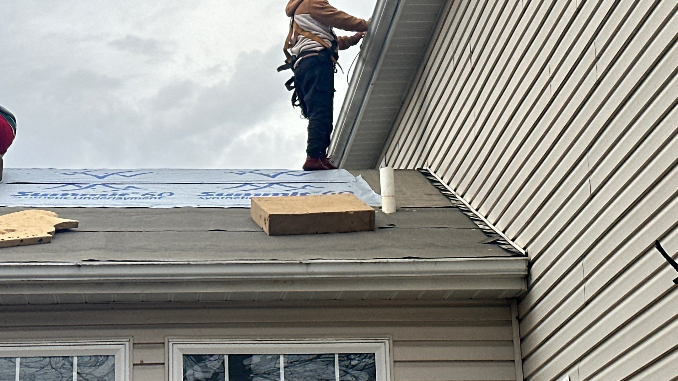 Walden Ponds - Pristine Black and Hydro Flo Gutter Guards by Tamlin Roofing