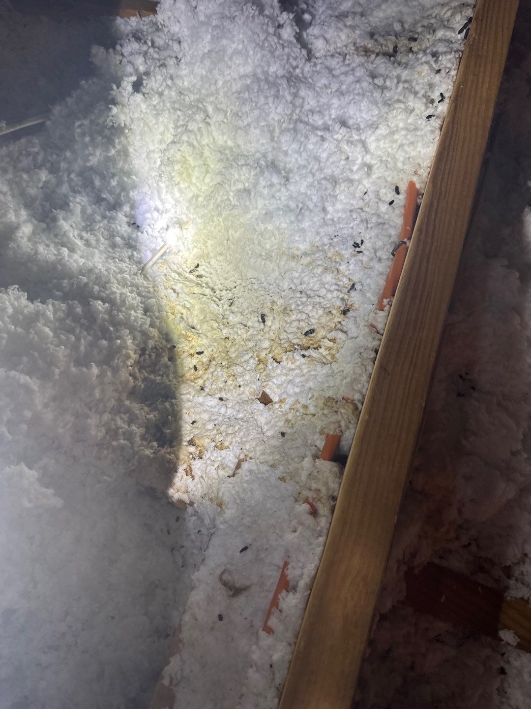 Hail Damage using Owen's Corning Duration (Lifetime) Shingles by Roof Repair Company