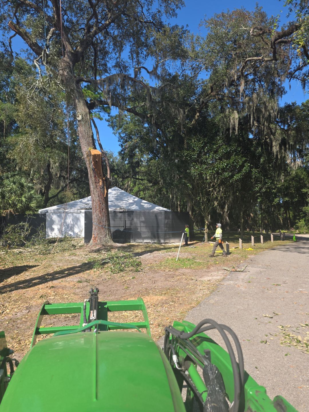 Episcopal | Large Tree Removal by ProGreen Services