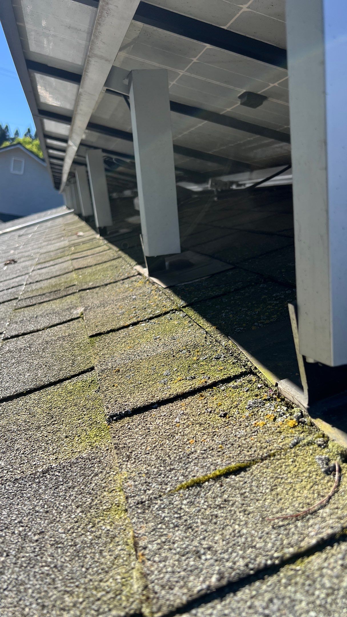 Roof Rejuvenation using Roof Maxx Treatment by Roof Maxx of Folsom