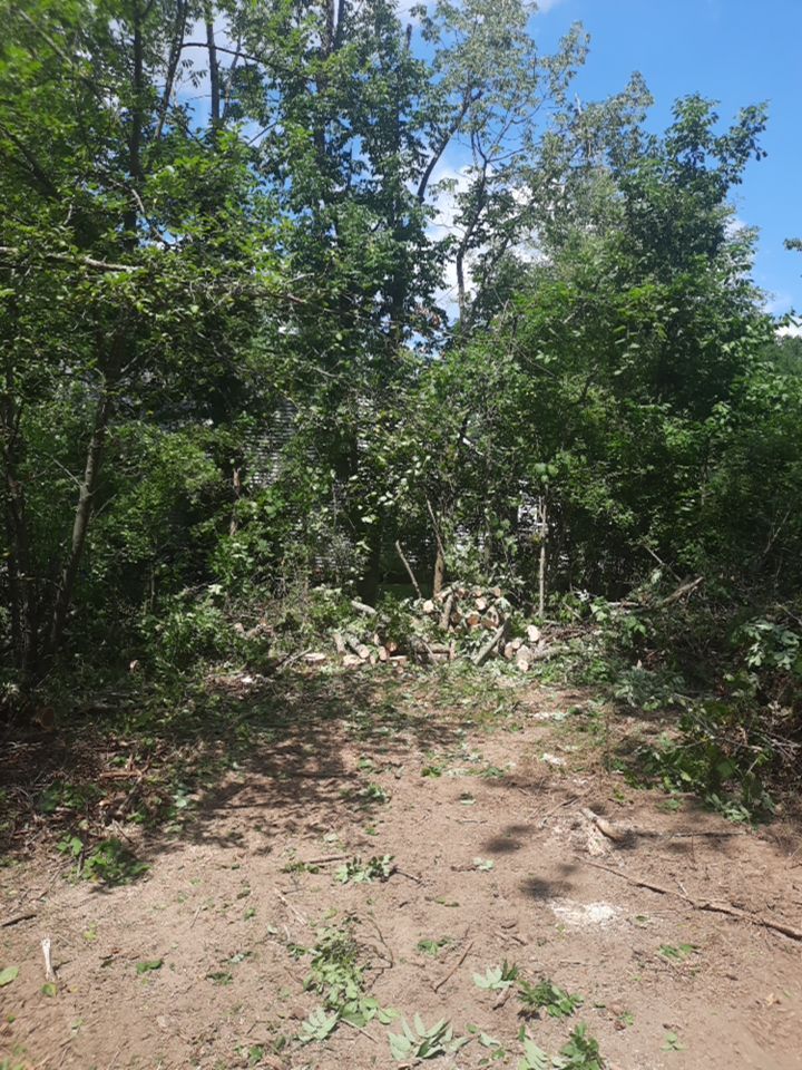 Tree Removal using Tree Removal by Mike Jones & Sons Tree Service LLC 