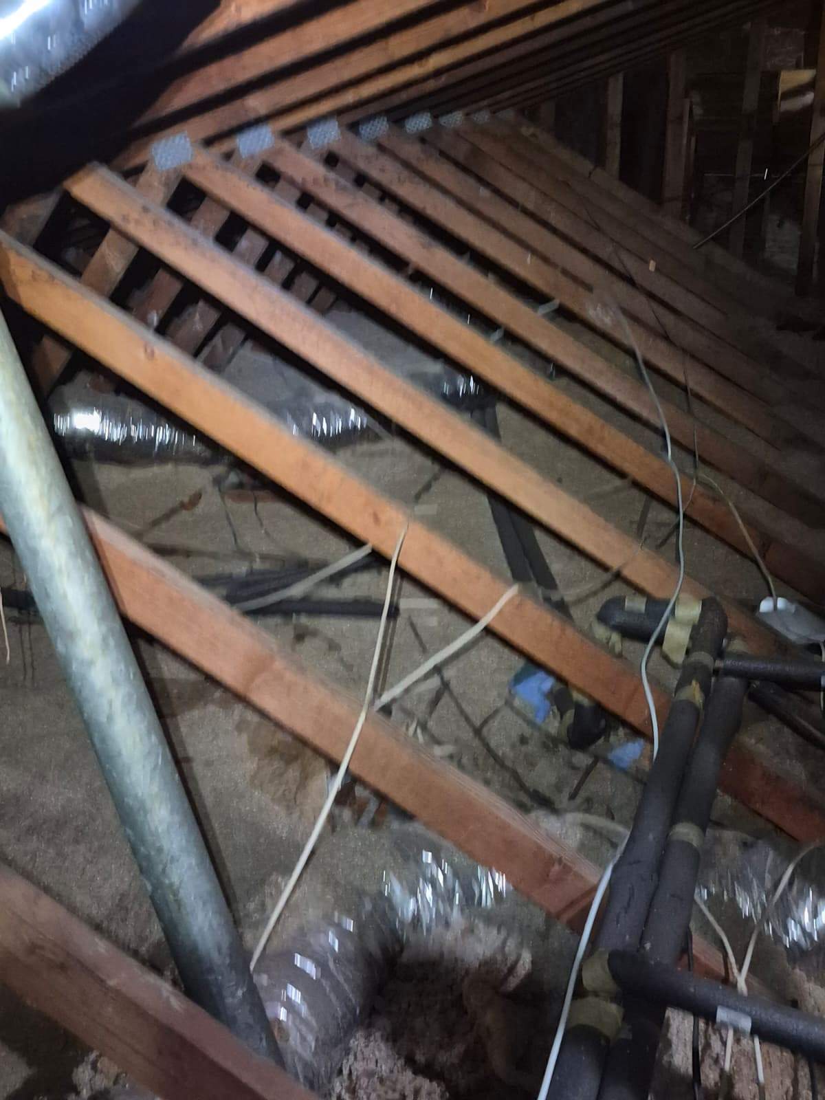 Project by Advanced Attic Solutions by Advanced Attic Solutions