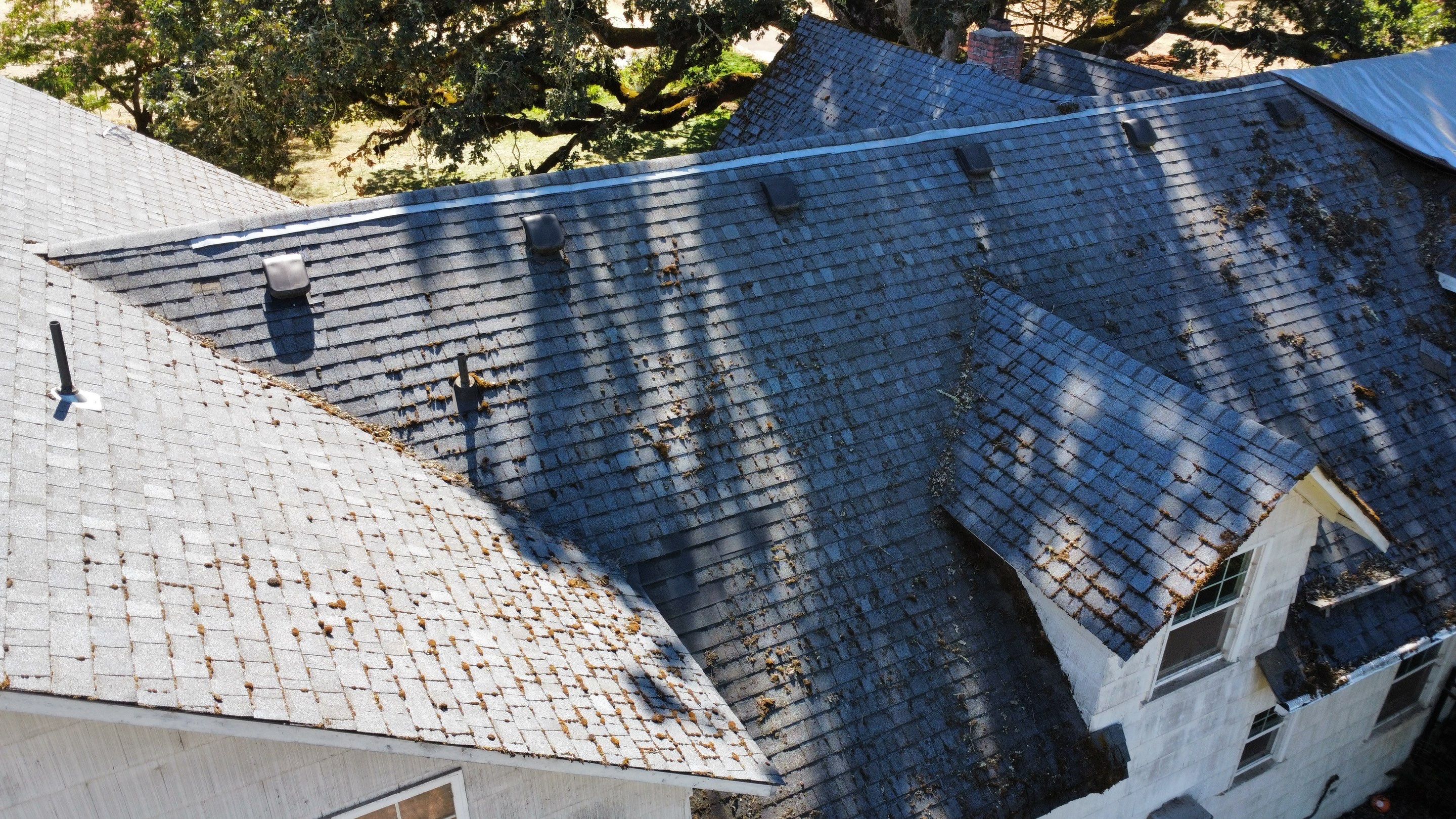 Residential Roofing Installation using IKO Dynasty (Color: Granite Black) by Orezona Building & Roofing Company, Inc.