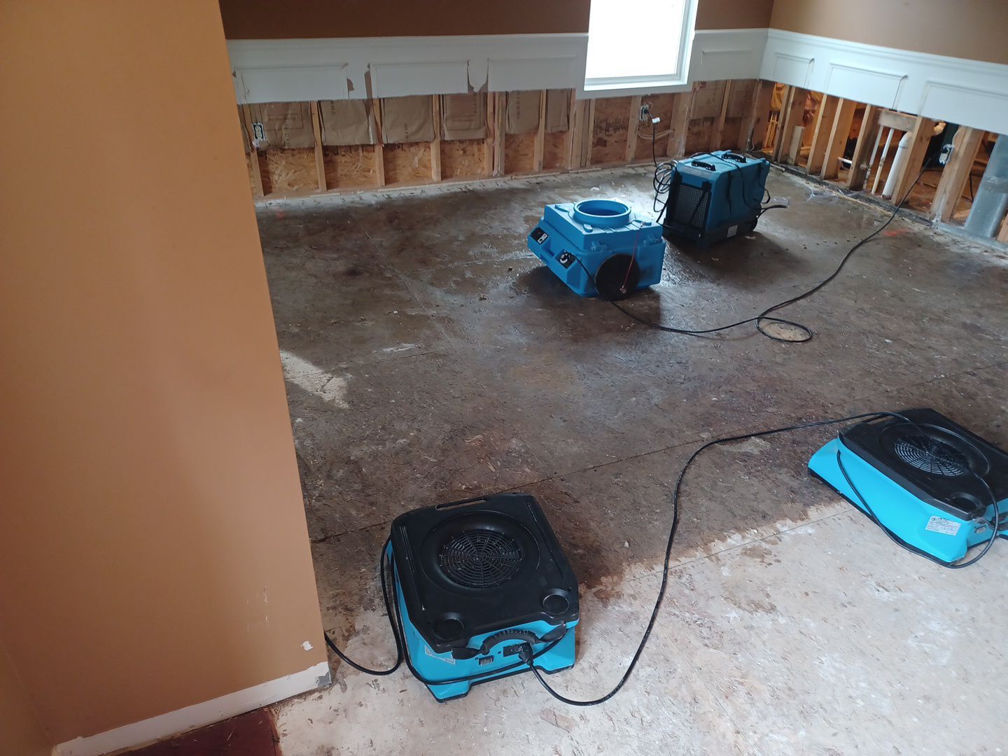 Project in Sterling Heights by EzDry Water Mitigation & Property Restoration