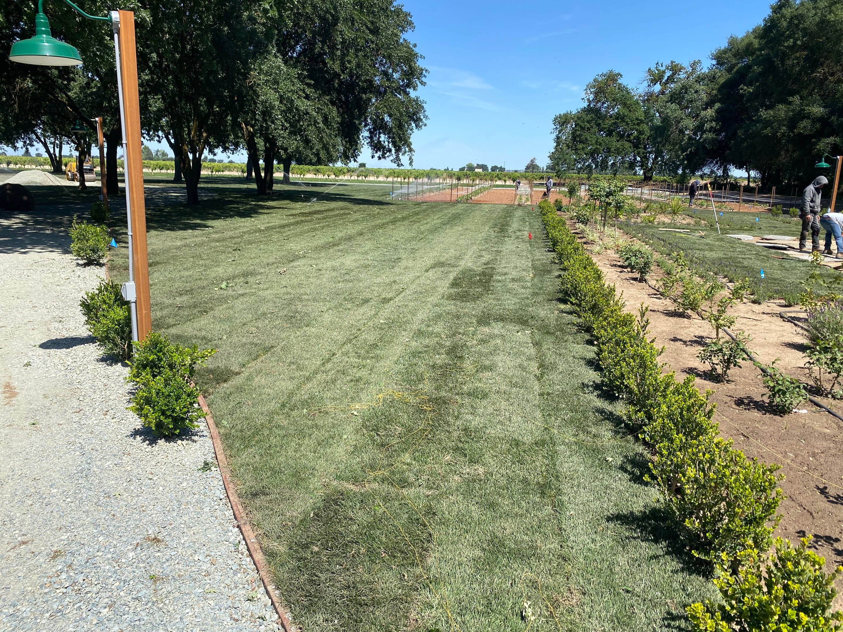 Project in Lodi by A - G Sod Farms
