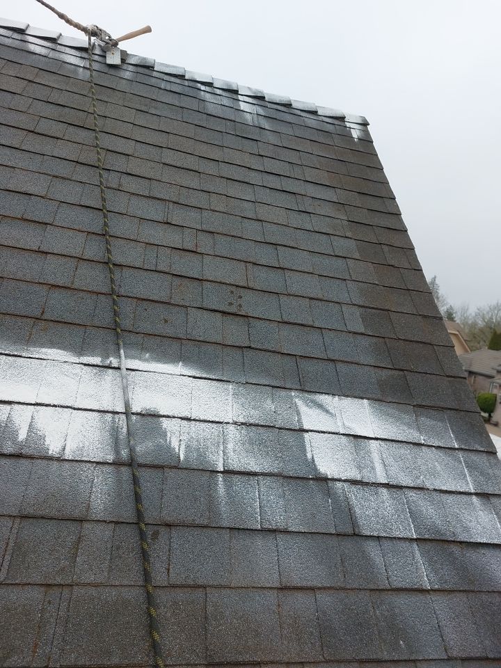 Roof Cleaning  using Moss Treatment  by BEST Roofing & Waterproofing