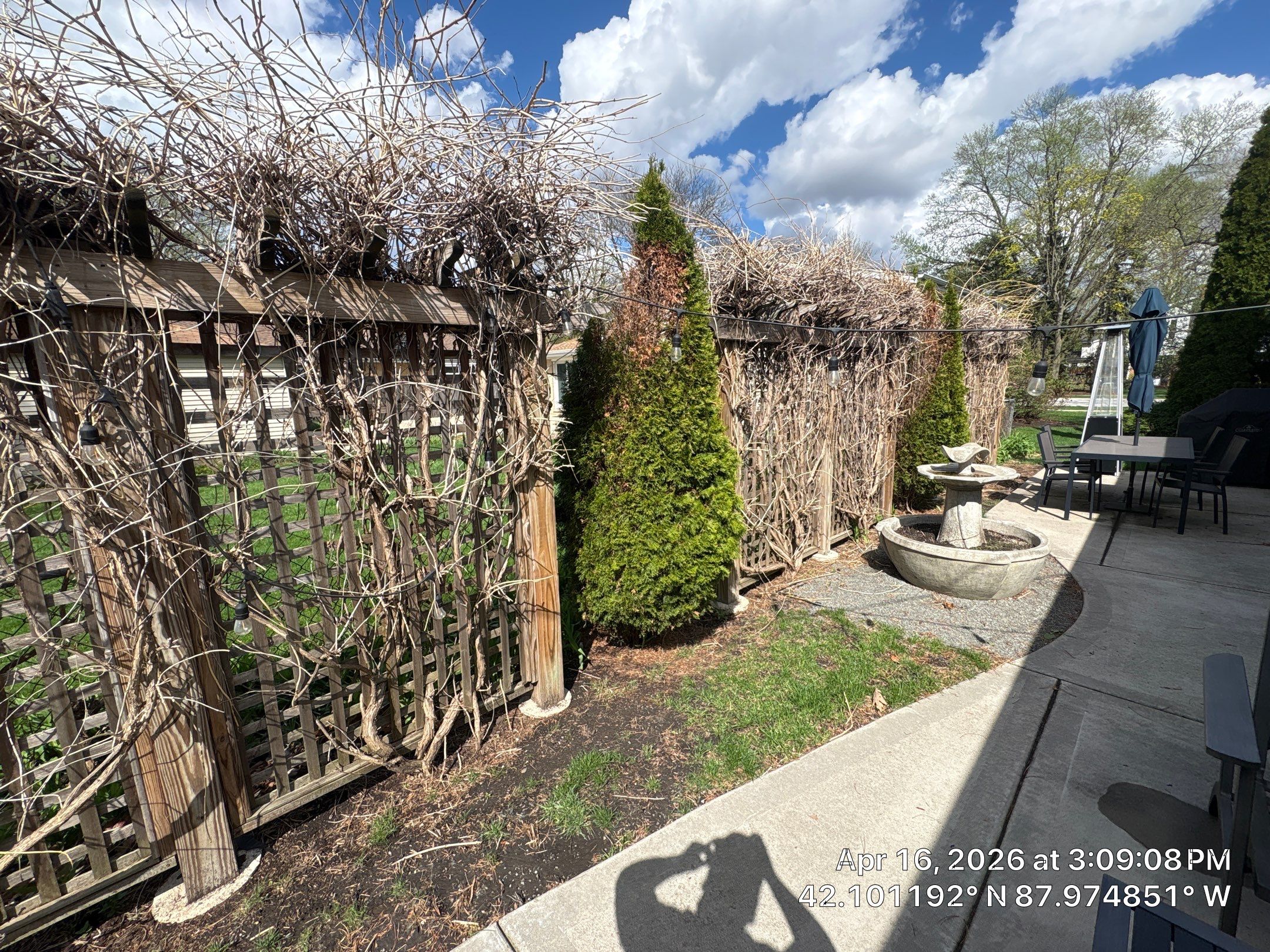 James F. - Arlington Heights, IL by A&N