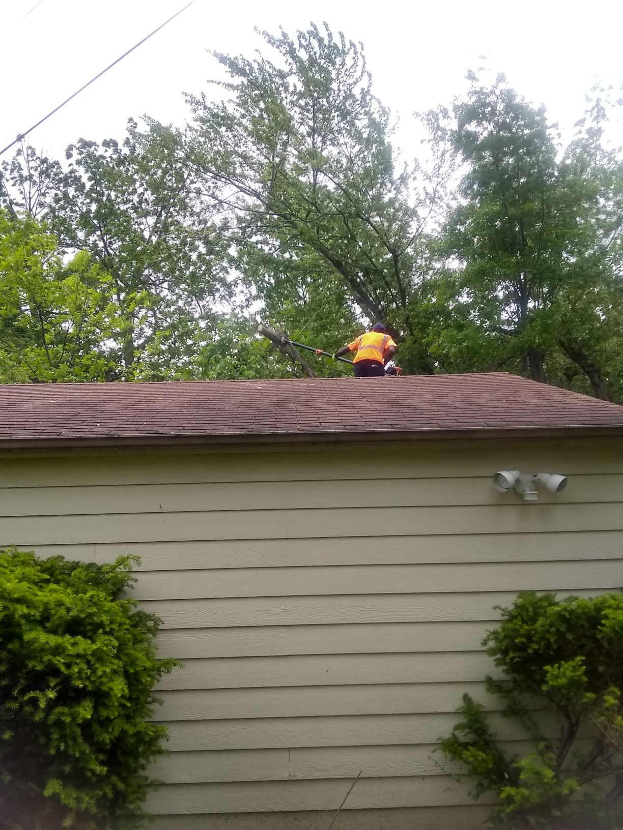 Tree Removal using Tree Removal by Mike Jones & Sons Tree Service LLC 