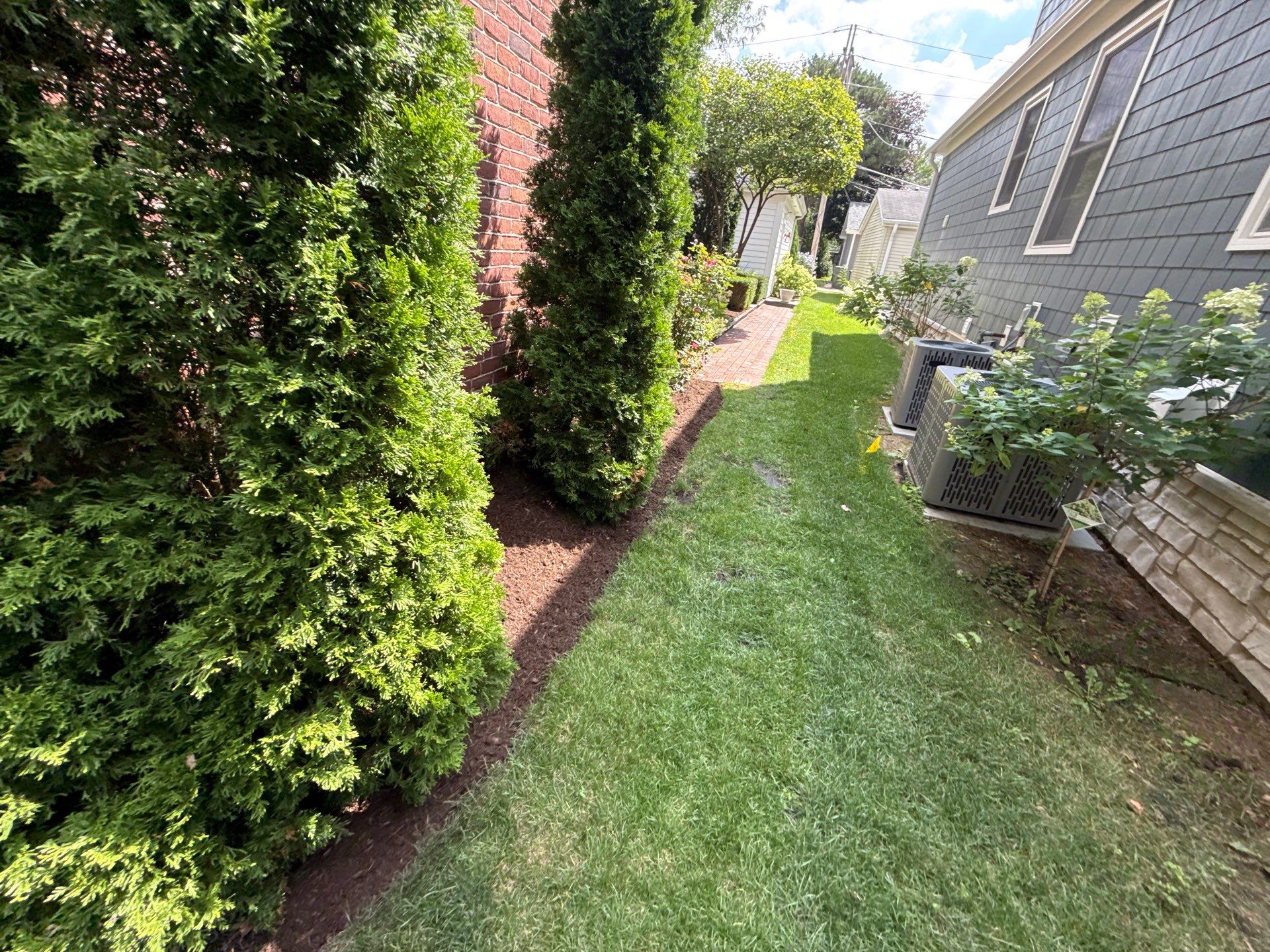 Jason G. - Arlington Heights, IL by A&N