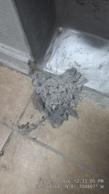Dryer Vent Cleaning & Lint Removal in Clermont